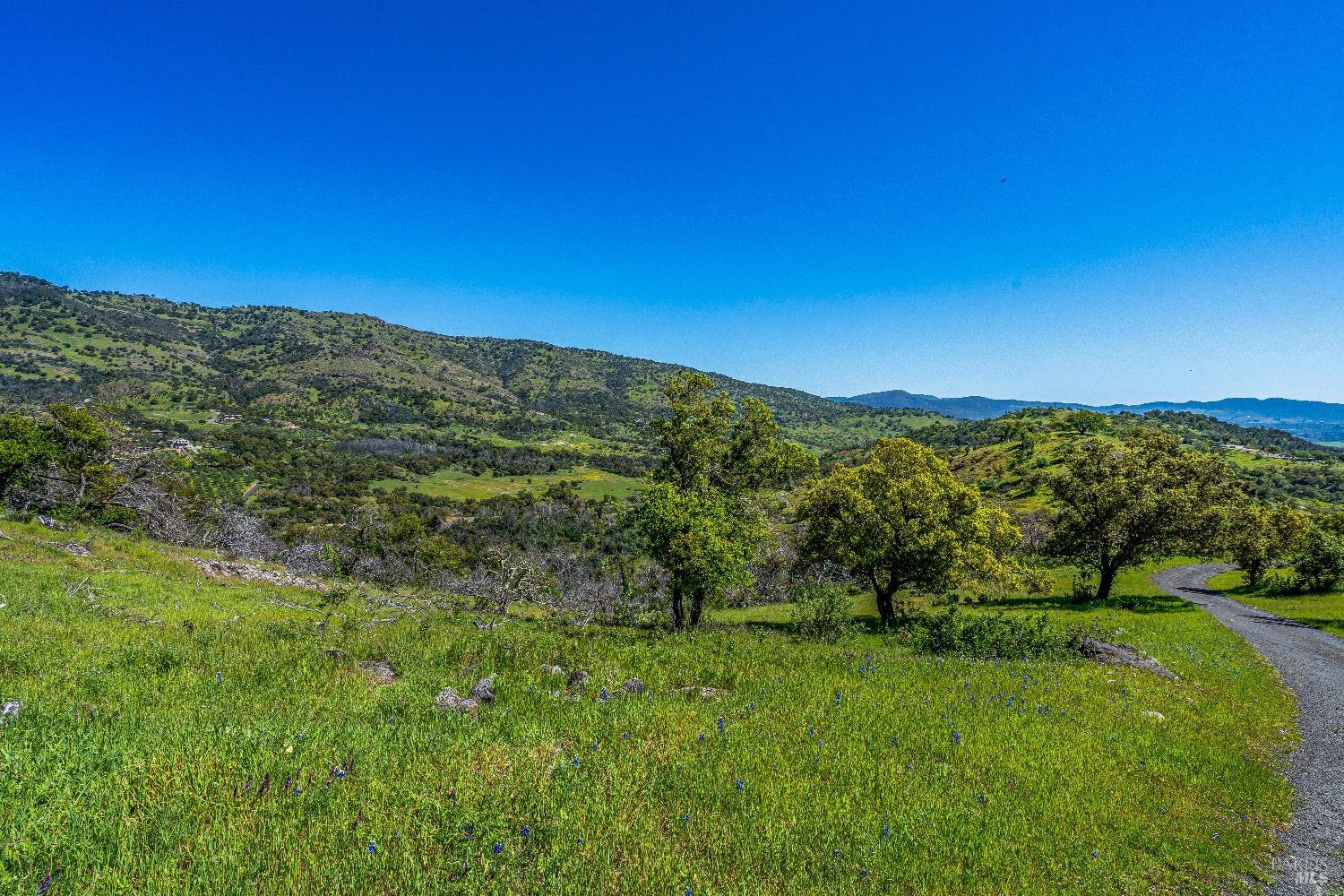 2077 Soda Canyon Road