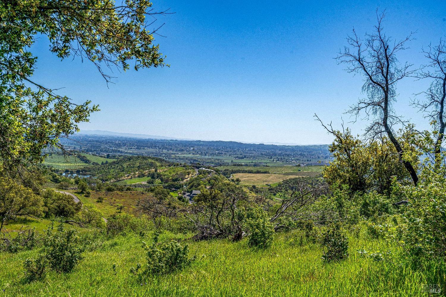 2077 Soda Canyon Road