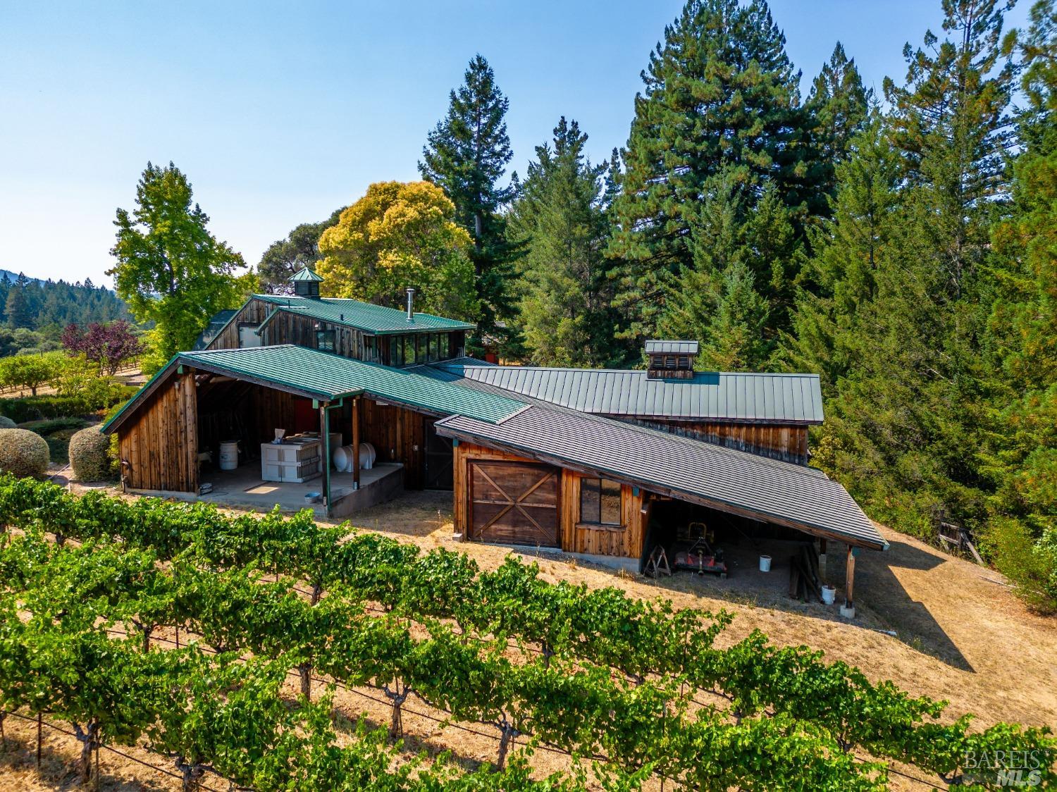 Romani Vineyard