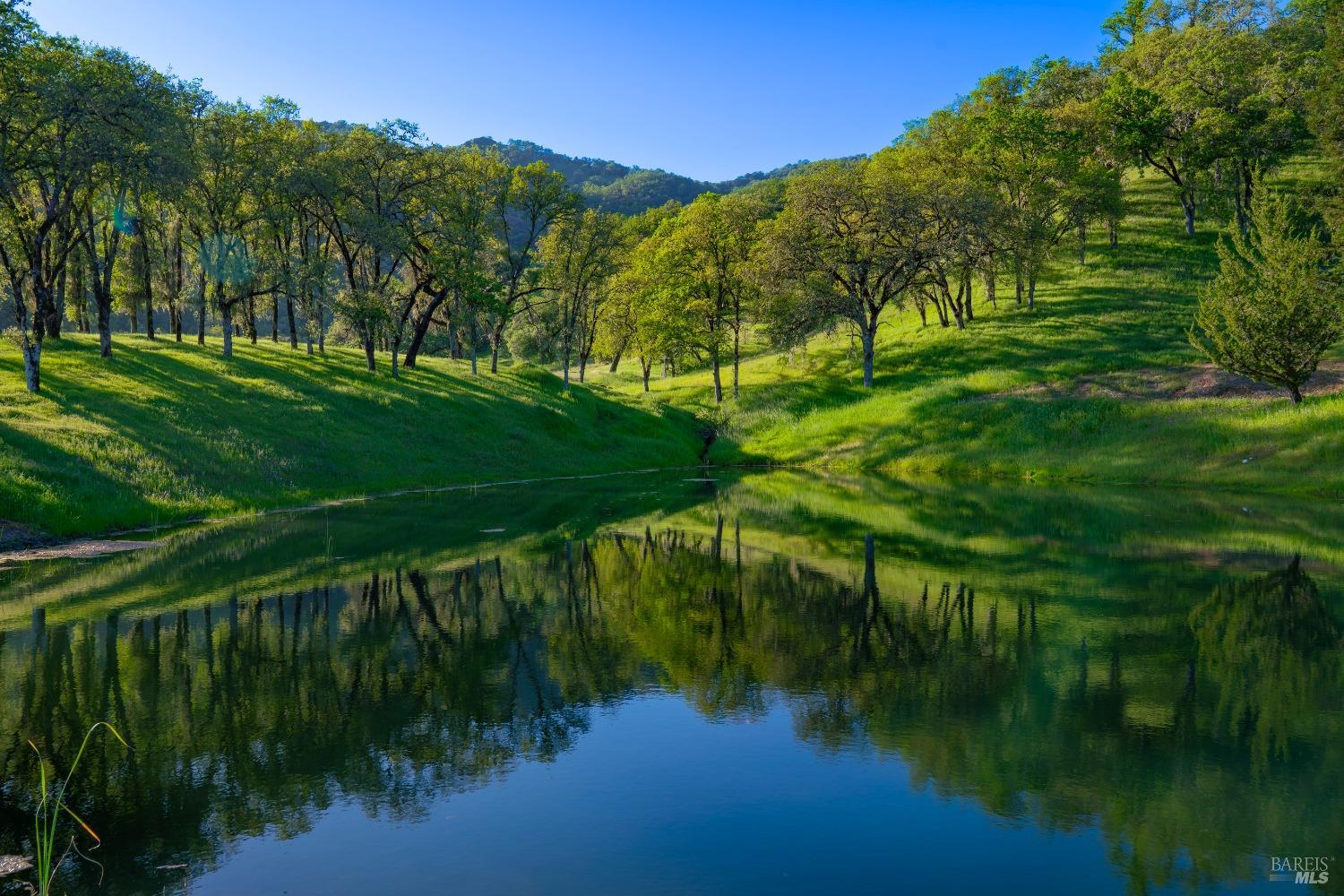 2200 Mcnab Ranch Road