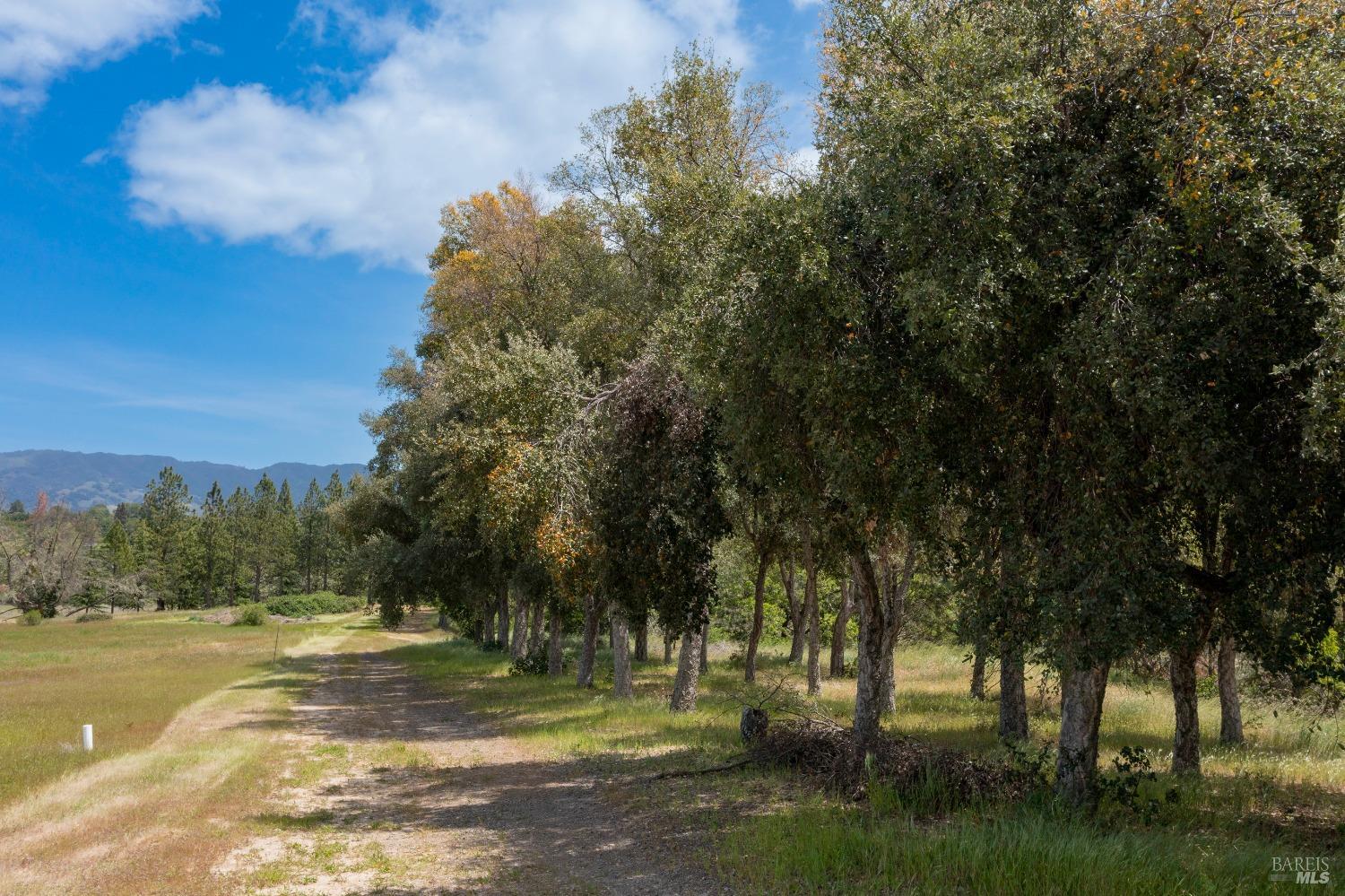 1106 Bel Arbres Drive