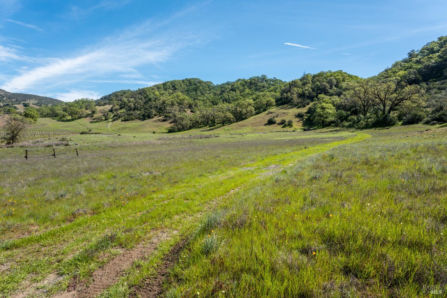 2800 Feliz Creek Road