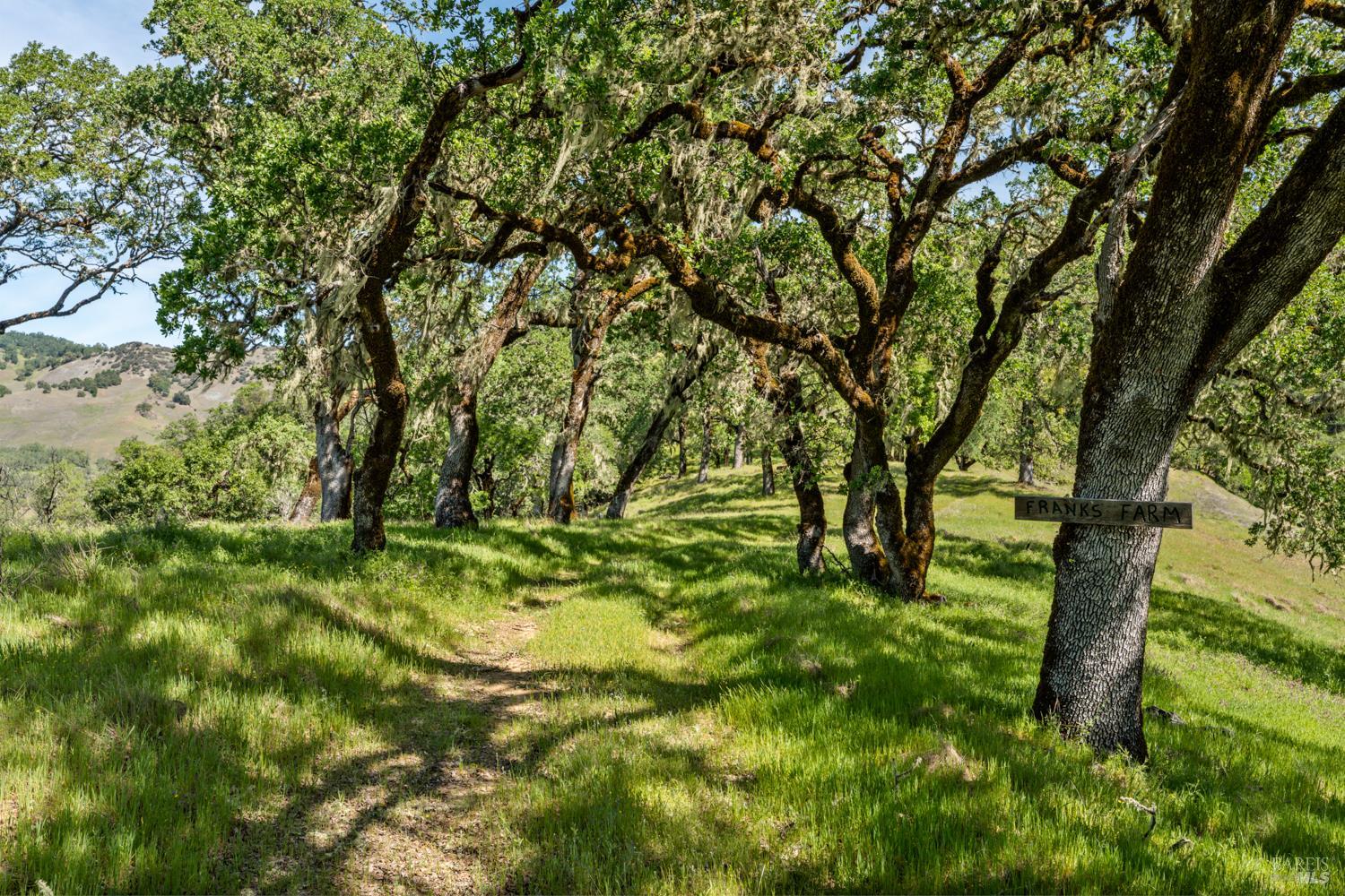 2800 Feliz Creek Road