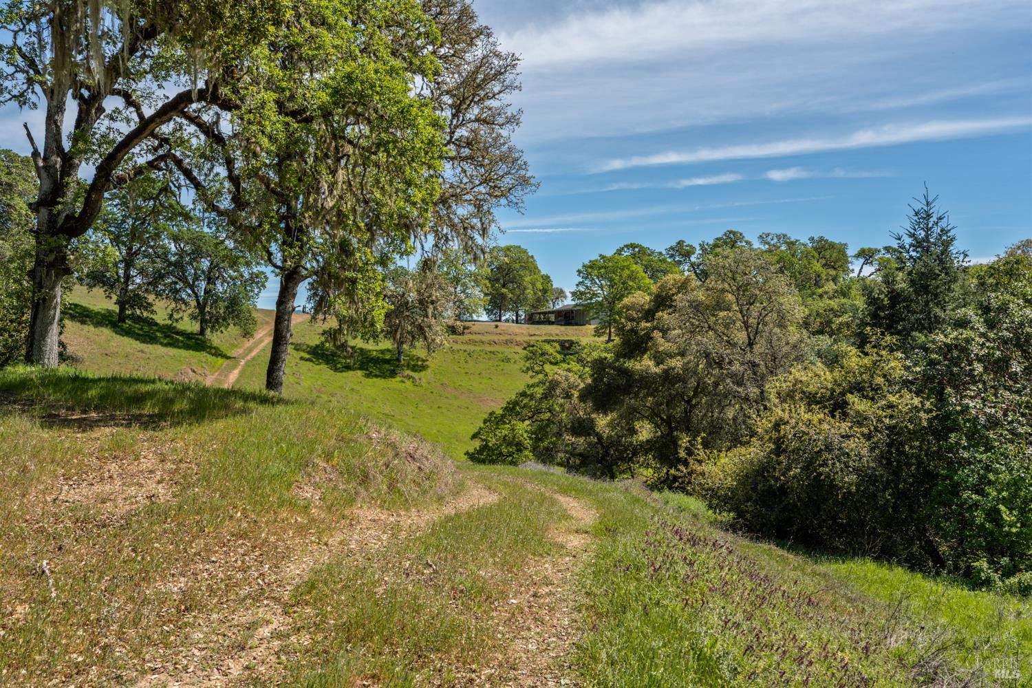 2800 Feliz Creek Road