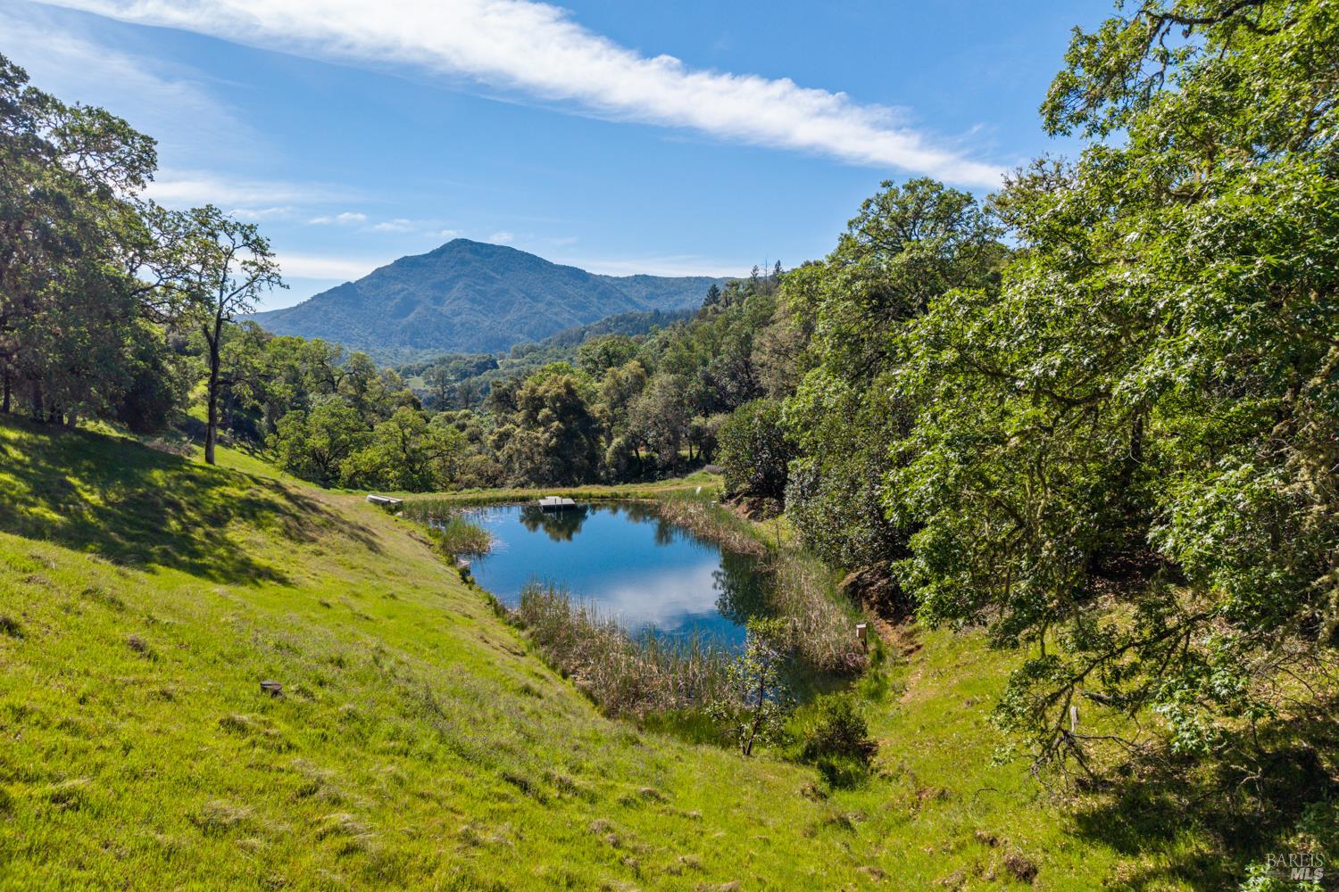 2800 Feliz Creek Road