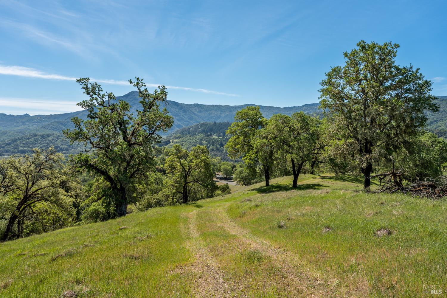 2800 Feliz Creek Road