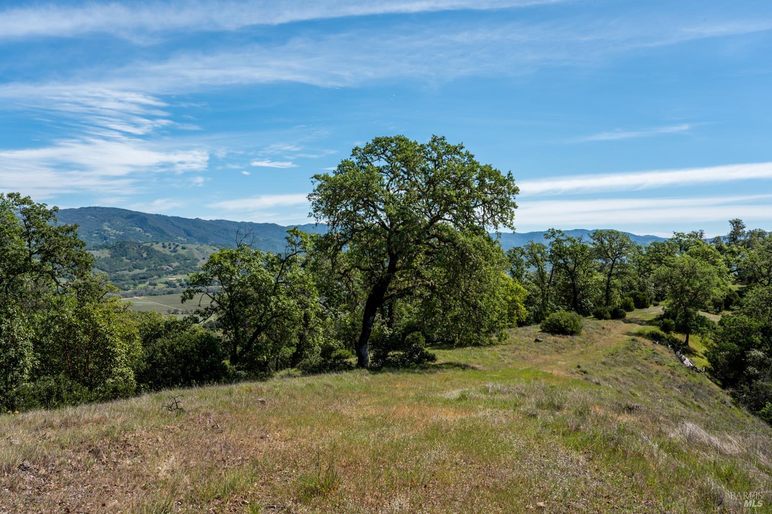 2800 Feliz Creek Road