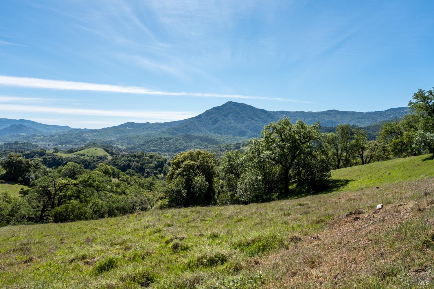 2800 Feliz Creek Road