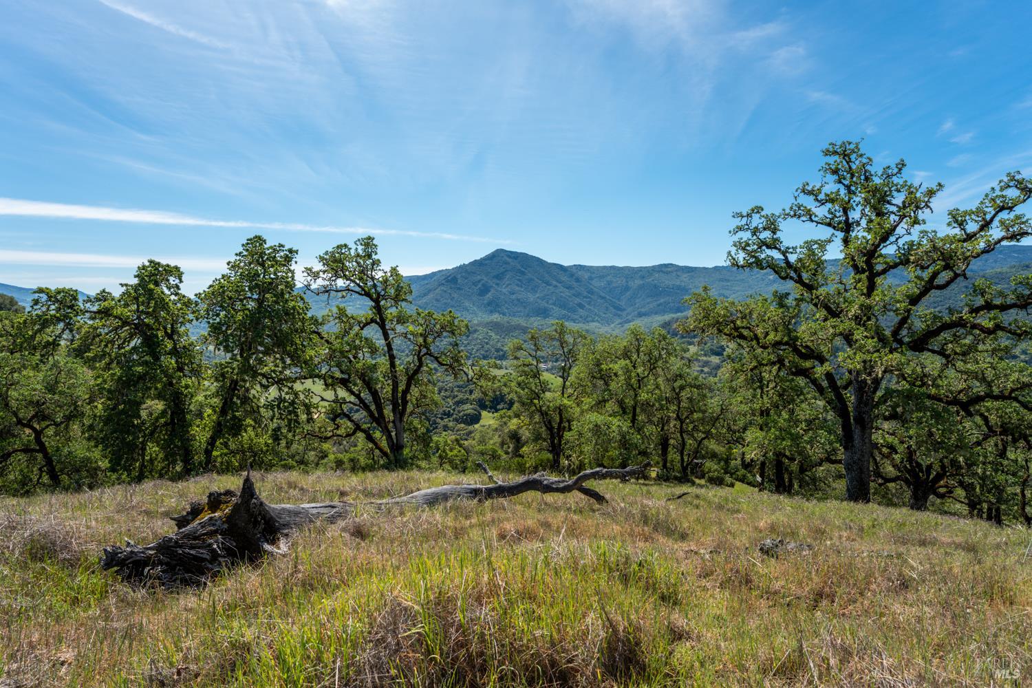 2800 Feliz Creek Road