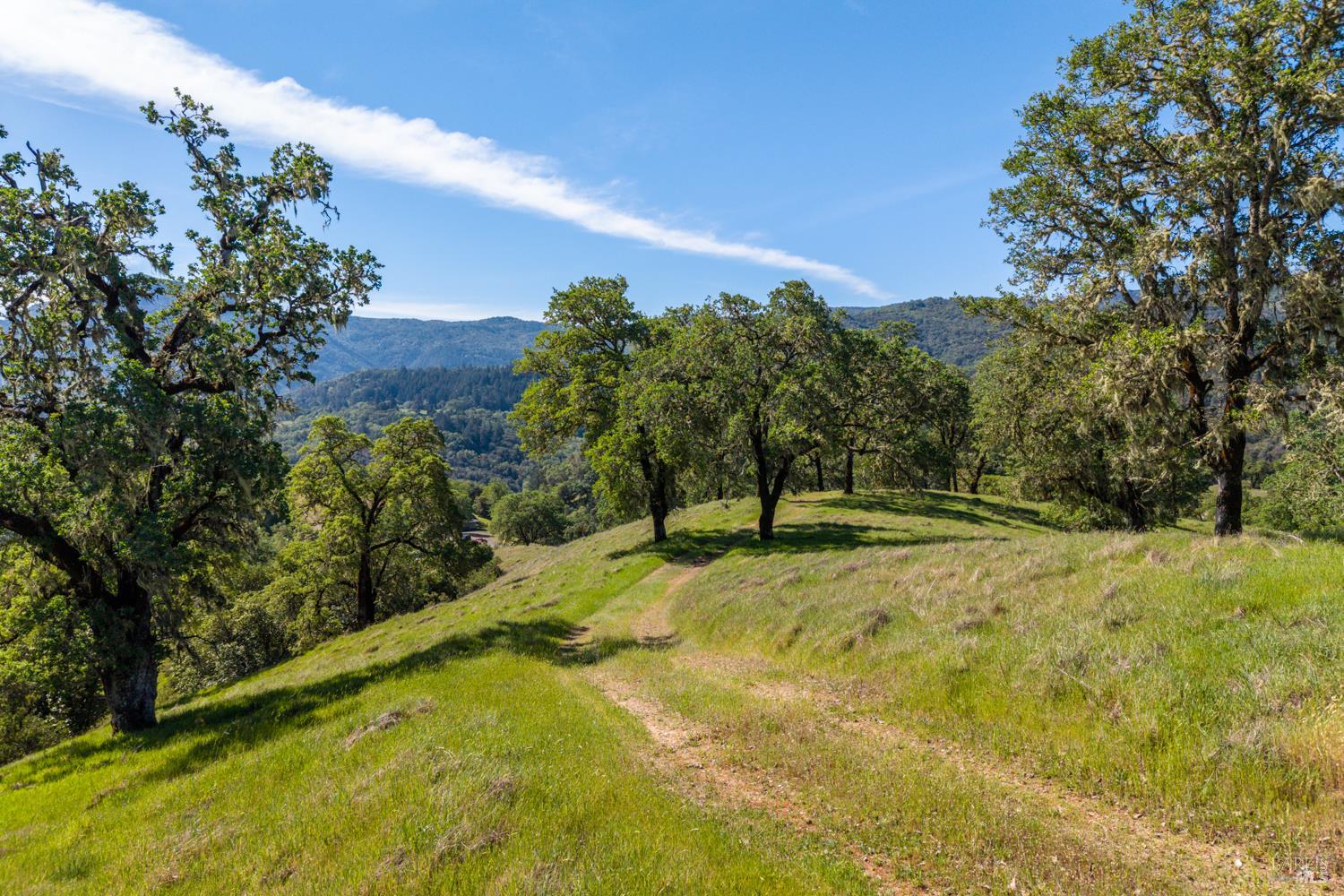 2800 Feliz Creek Road