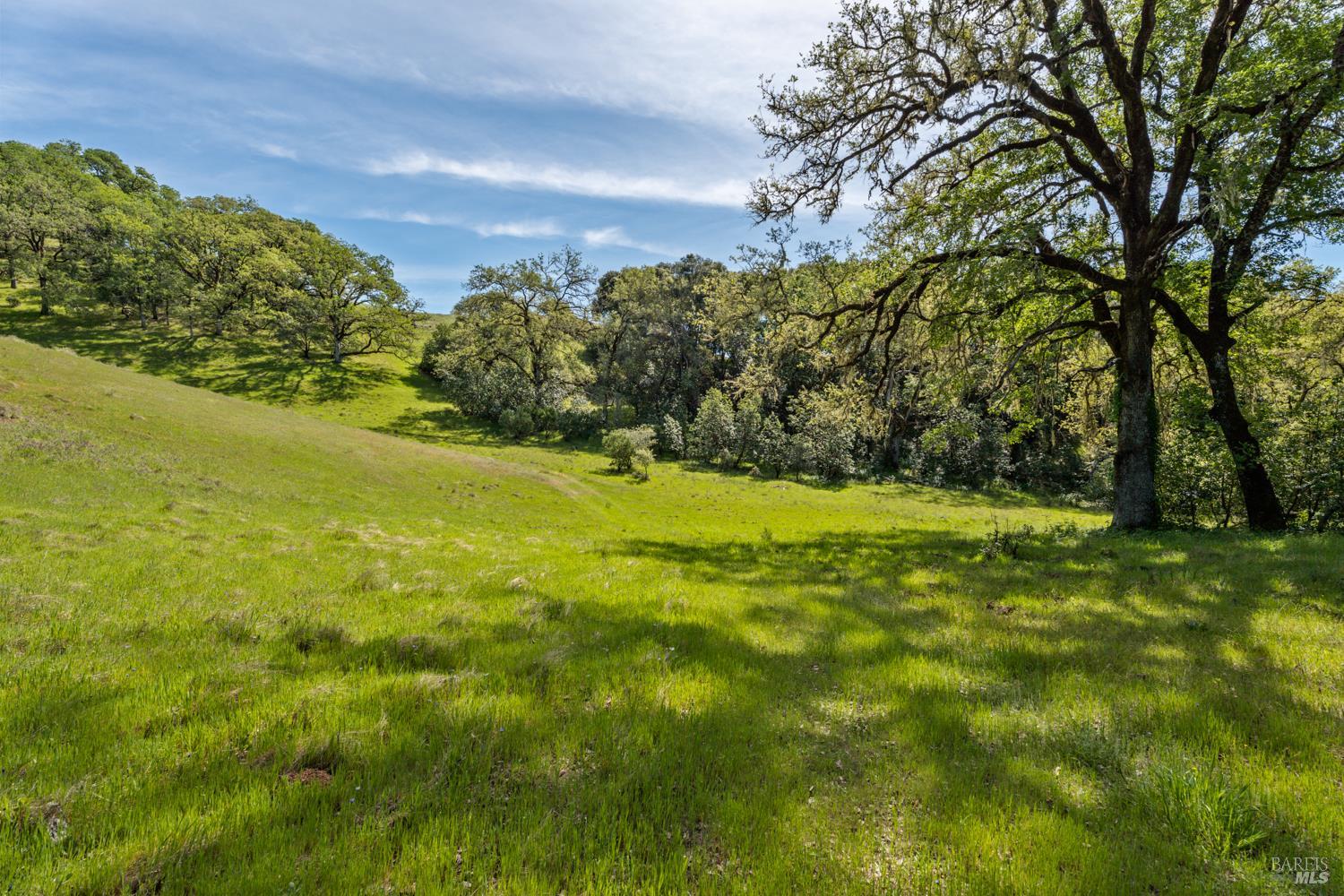 2800 Feliz Creek Road