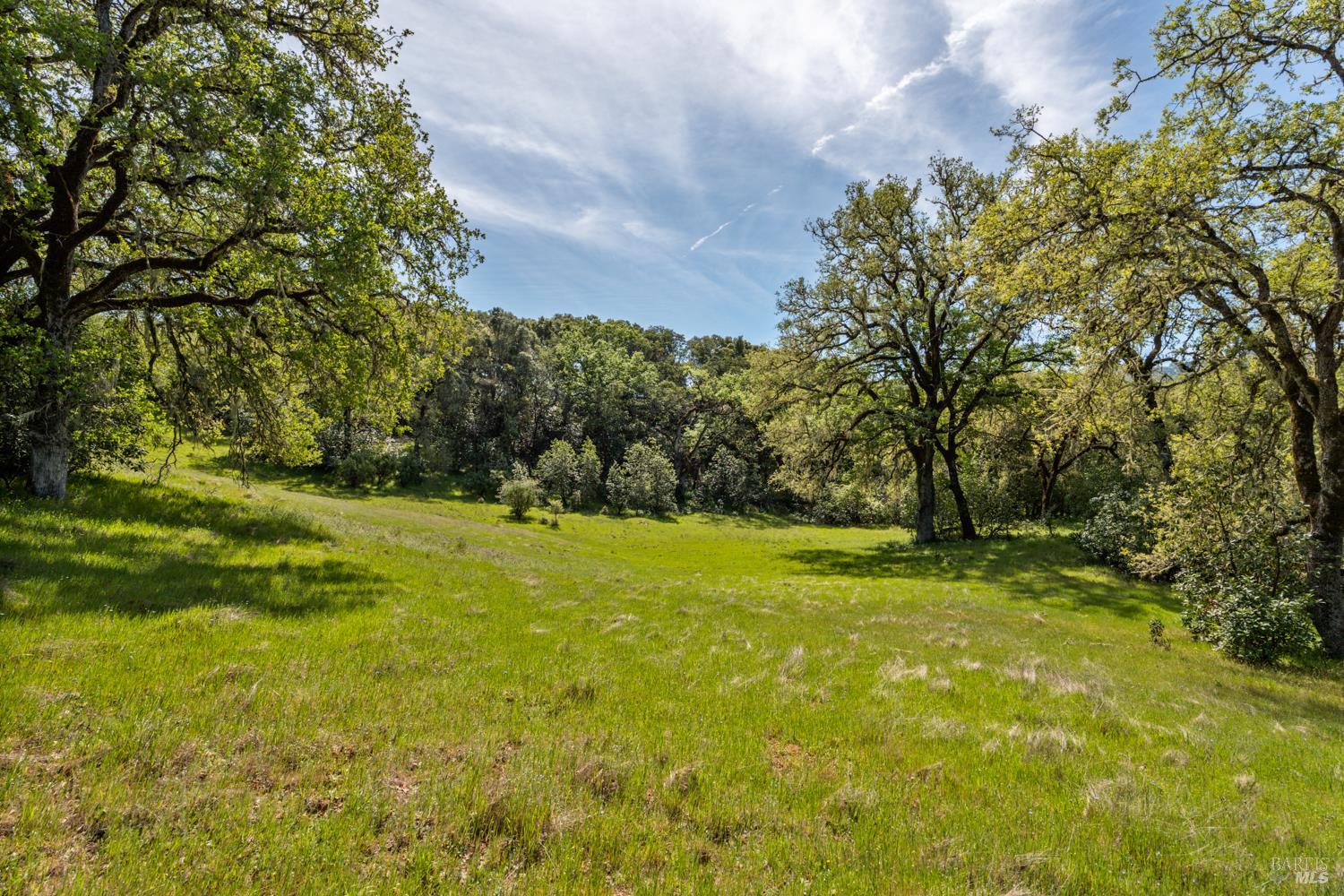 2800 Feliz Creek Road