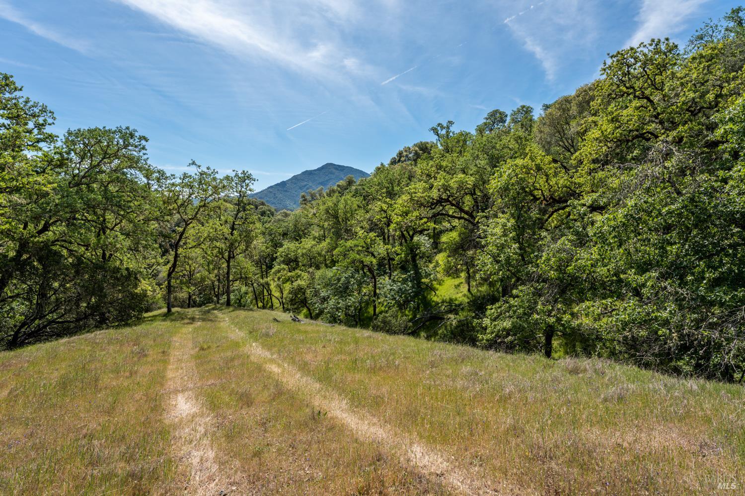 2800 Feliz Creek Road