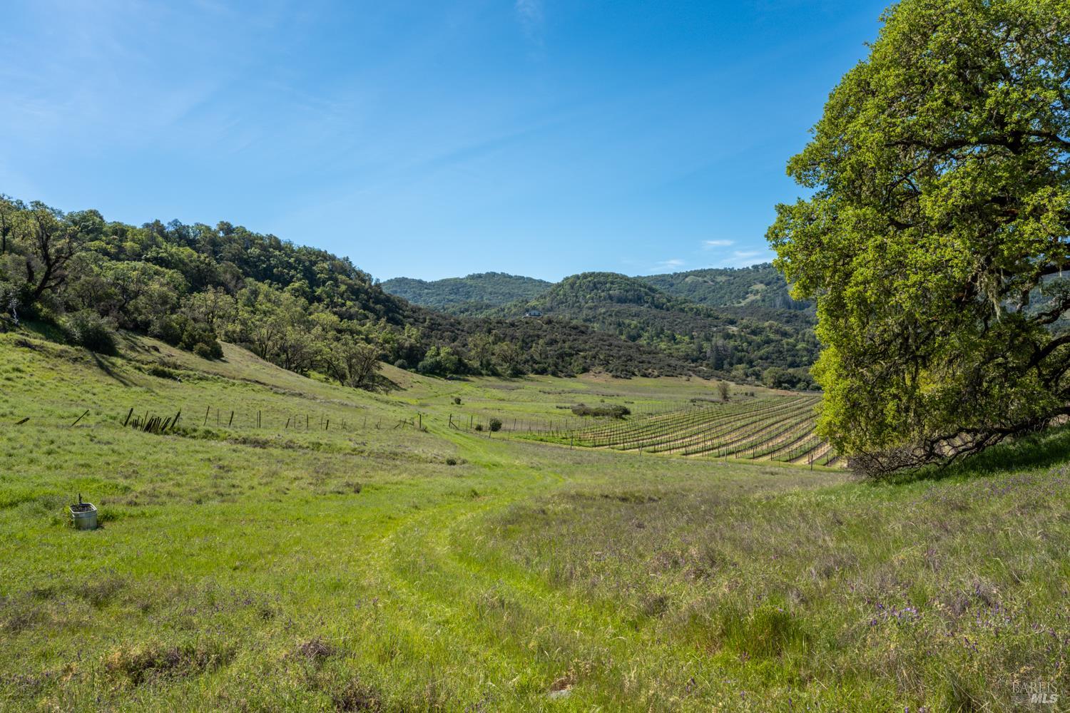 2800 Feliz Creek Road