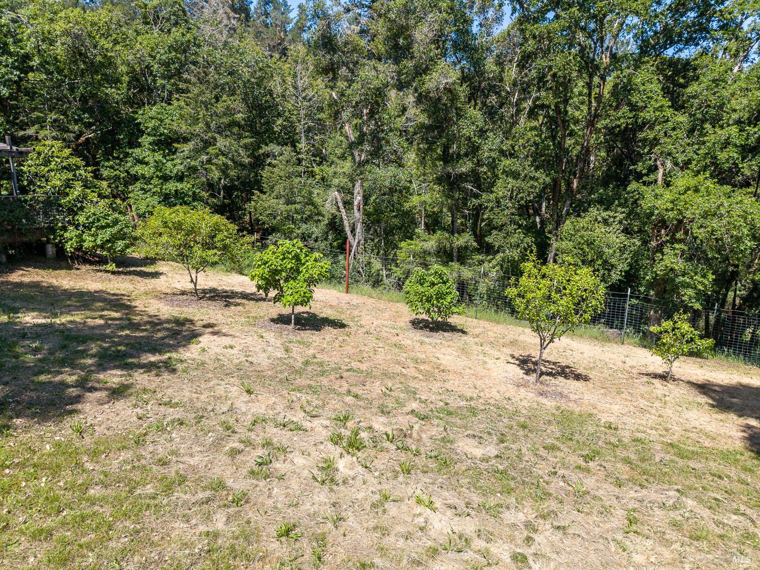 13270 Ornbaun Road