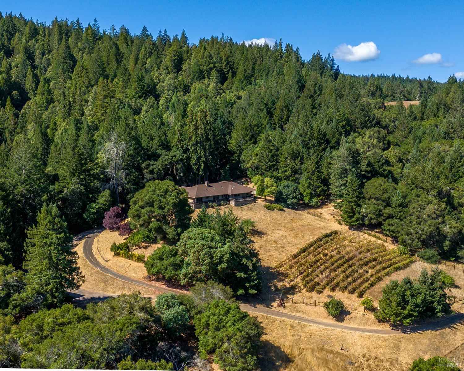 10580 Anderson Valley Way