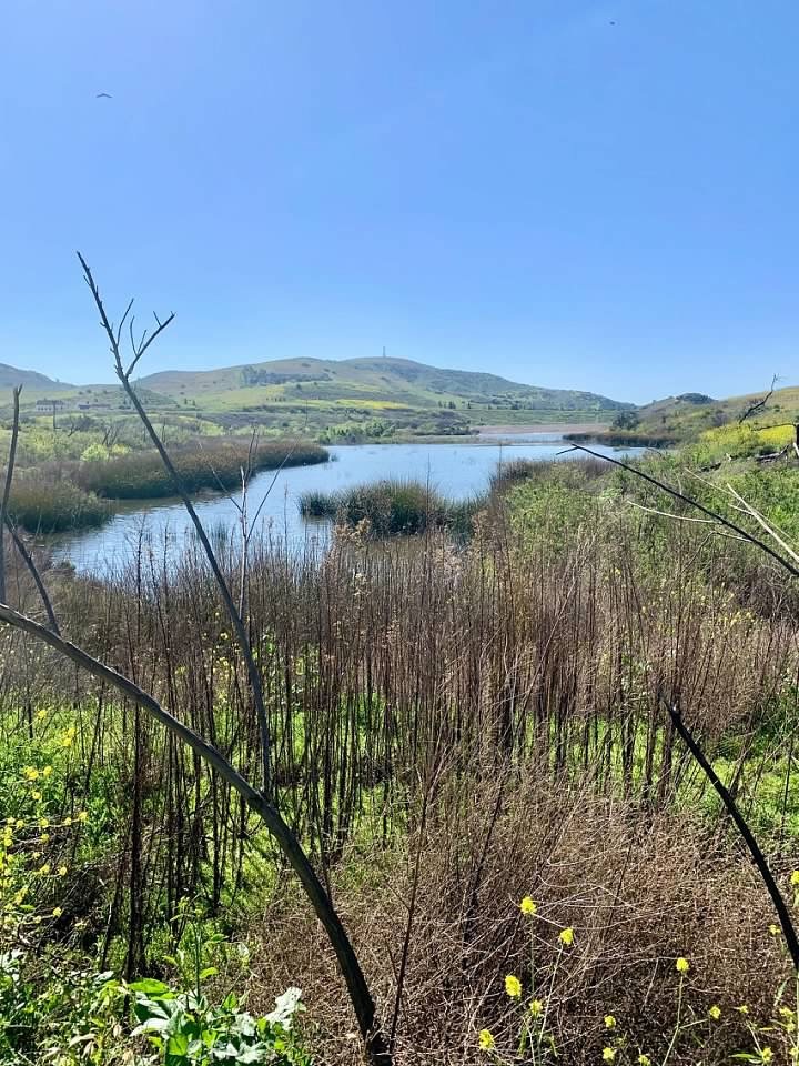 7639 E Lemon Creek Circle