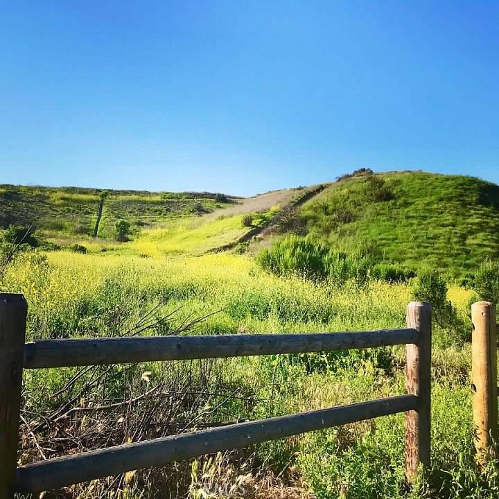 10935 Osterman Avenue