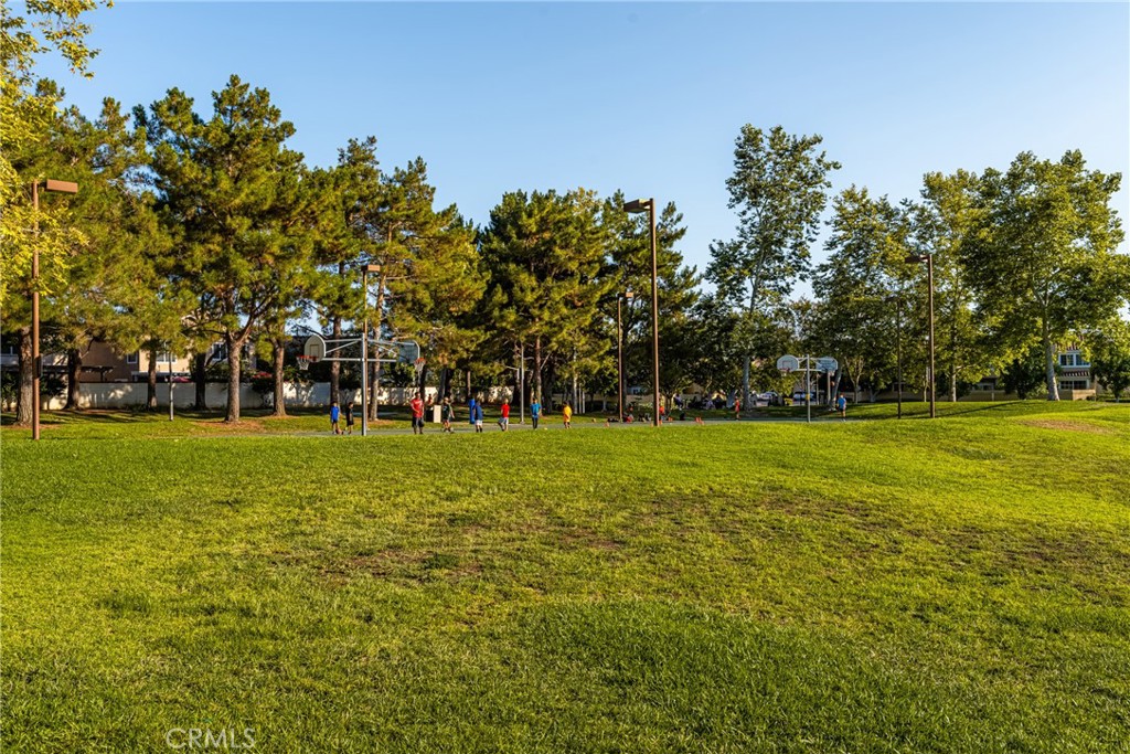 13124 Arborwalk Lane