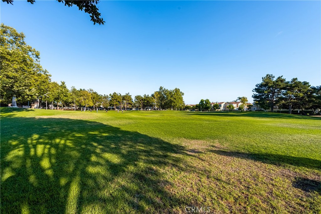 13124 Arborwalk Lane