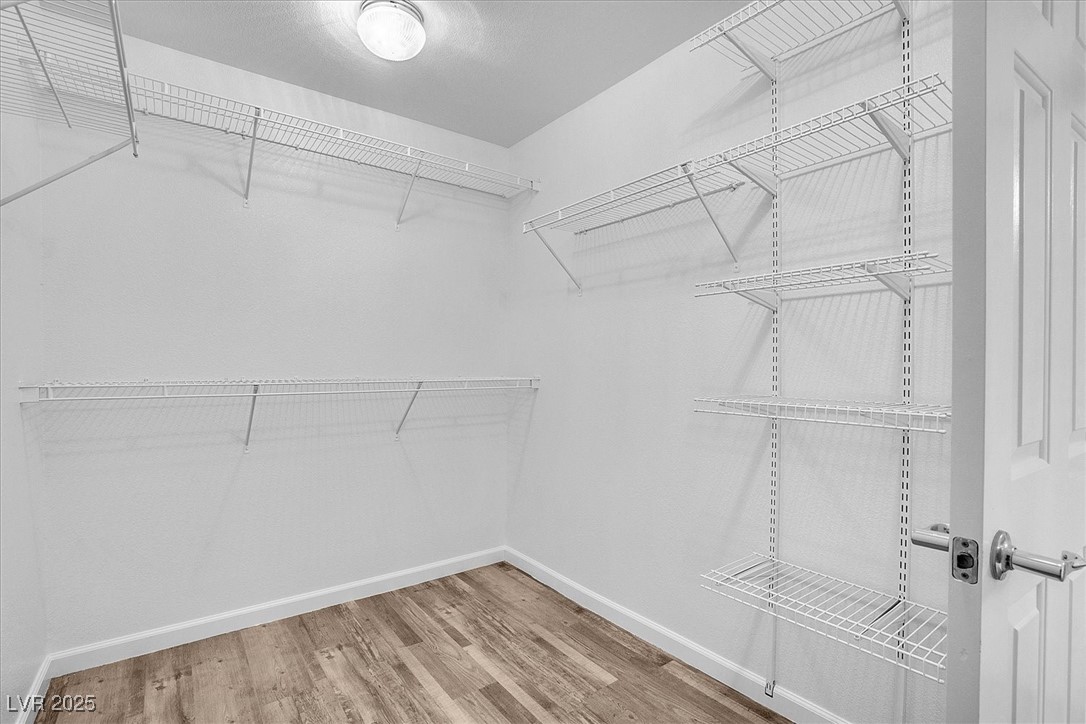 558 Poplar Leaf Street