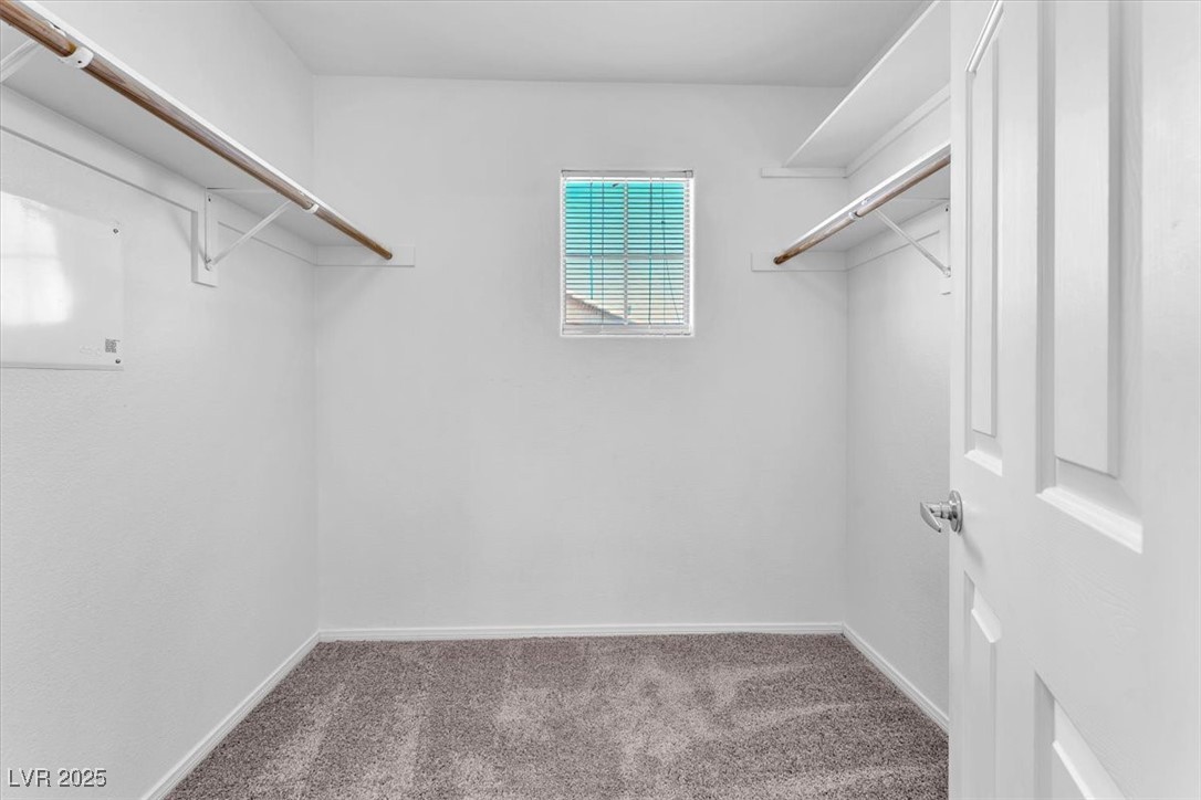 7865 Solid Horn Court