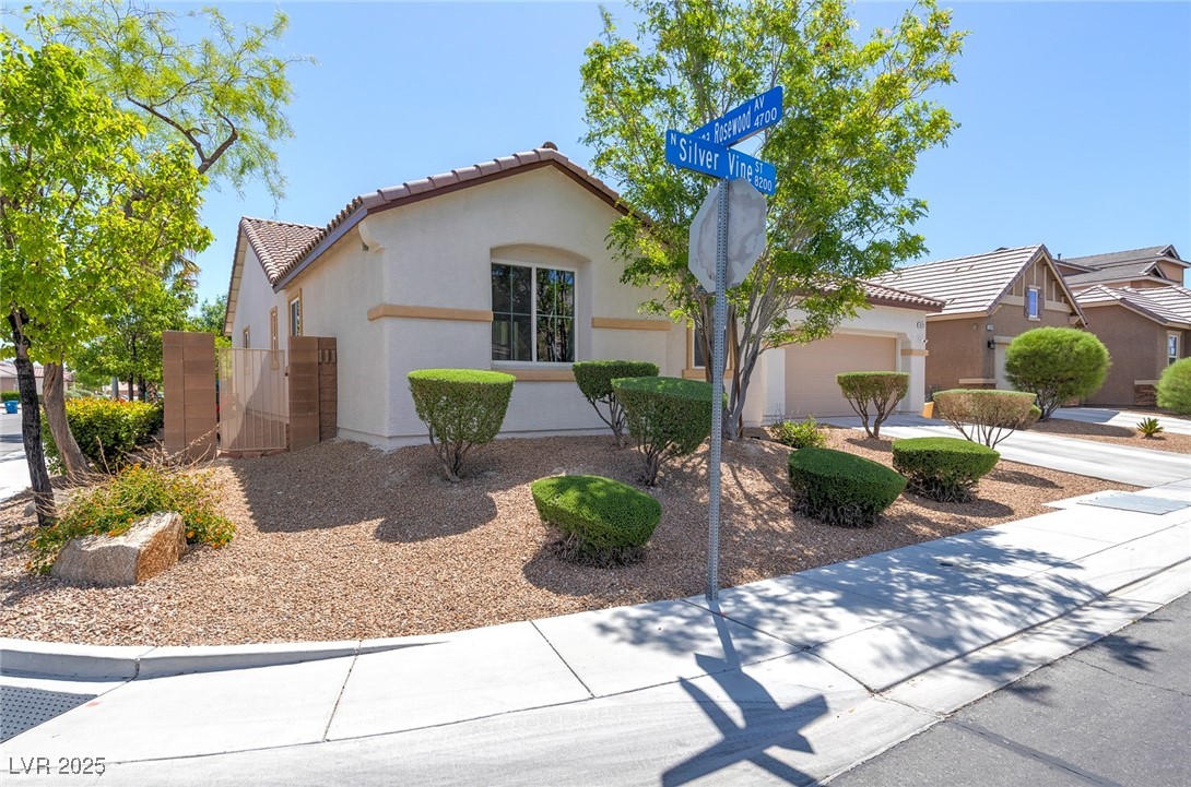 8232 Silver Vine Street