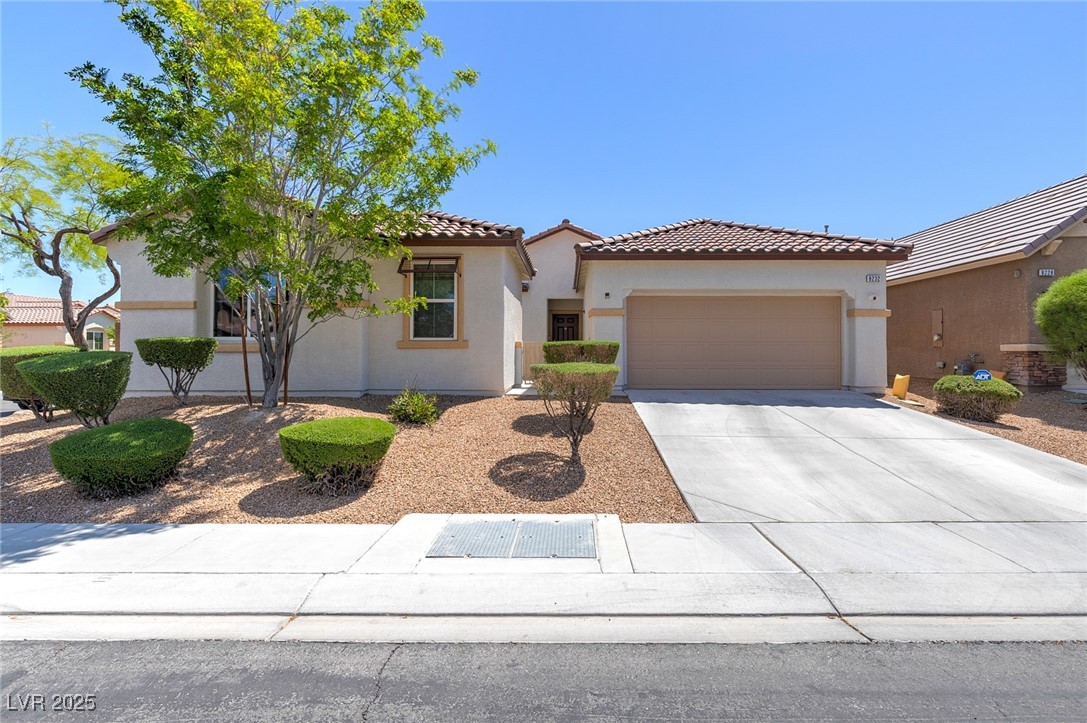 8232 Silver Vine Street