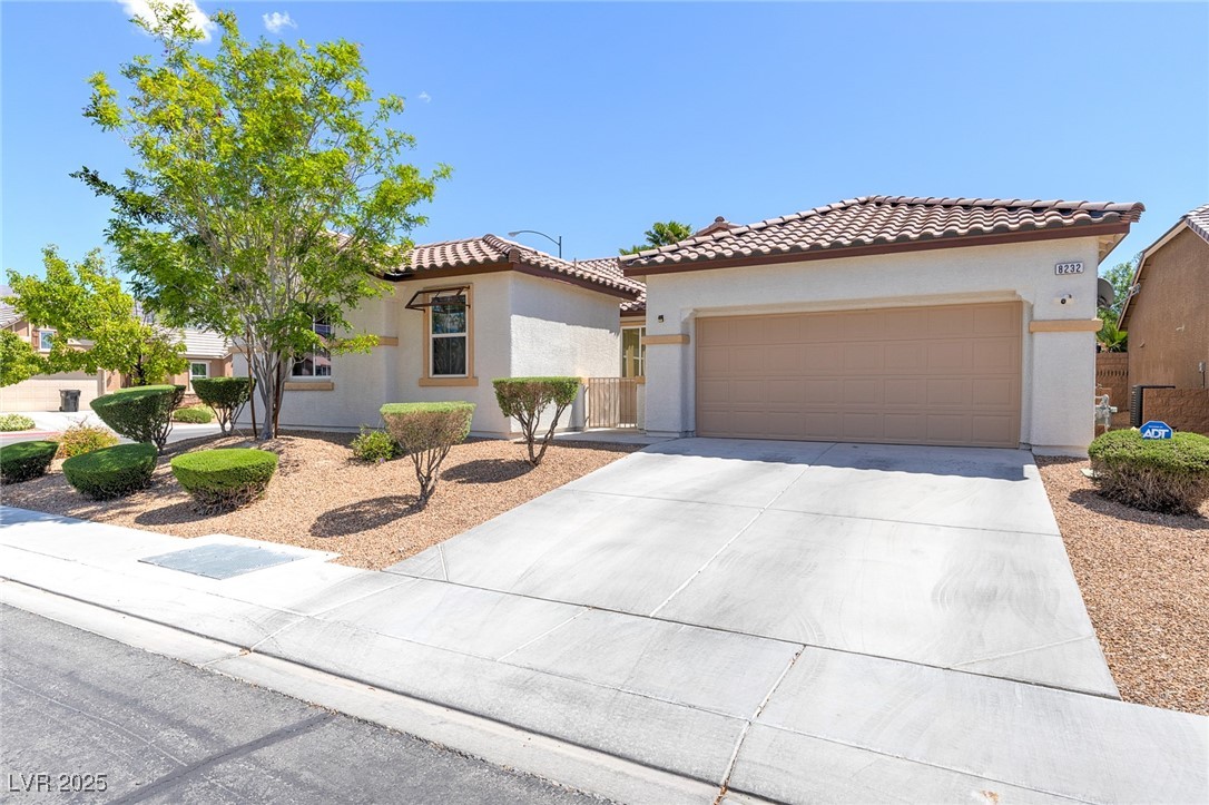 8232 Silver Vine Street