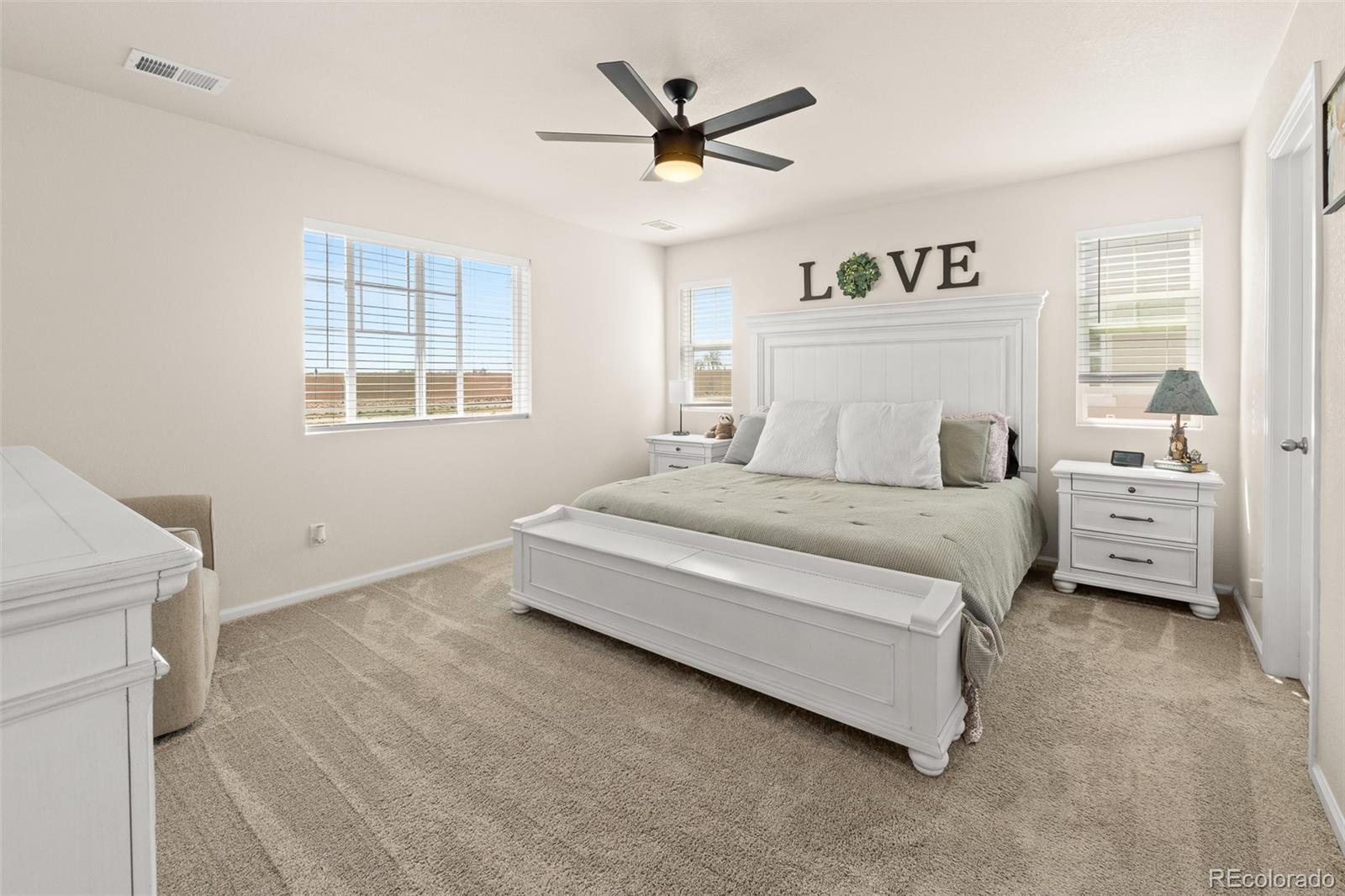 919 Goodrich Peak Street