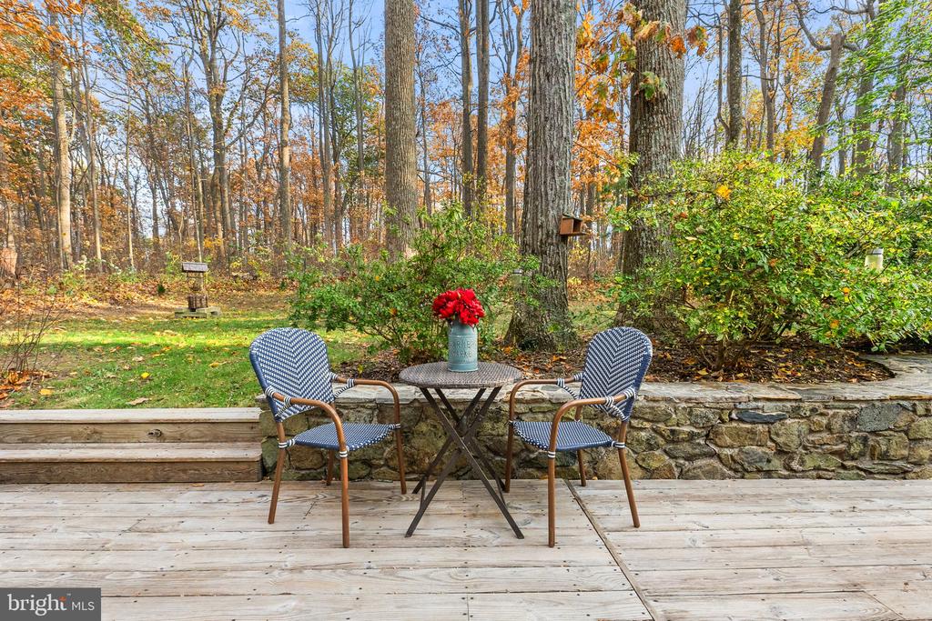 32651 MOUNT WEATHER ROAD