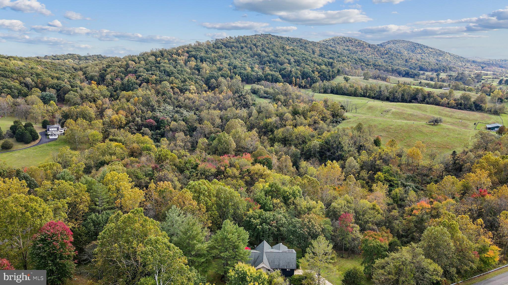 10551 COBBLER VALLEY LANE