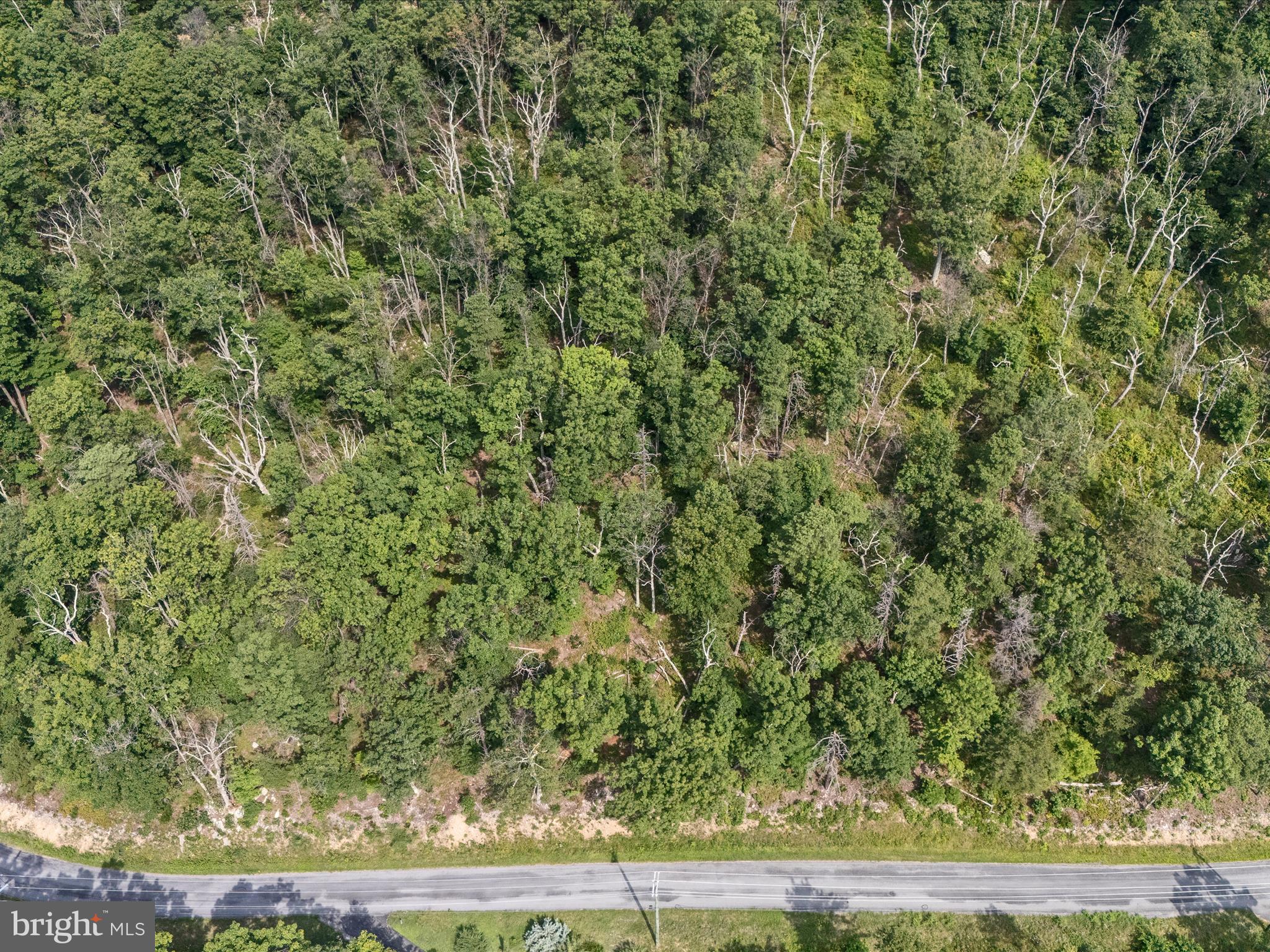 LOT 43 TOMAHAWK TRAIL