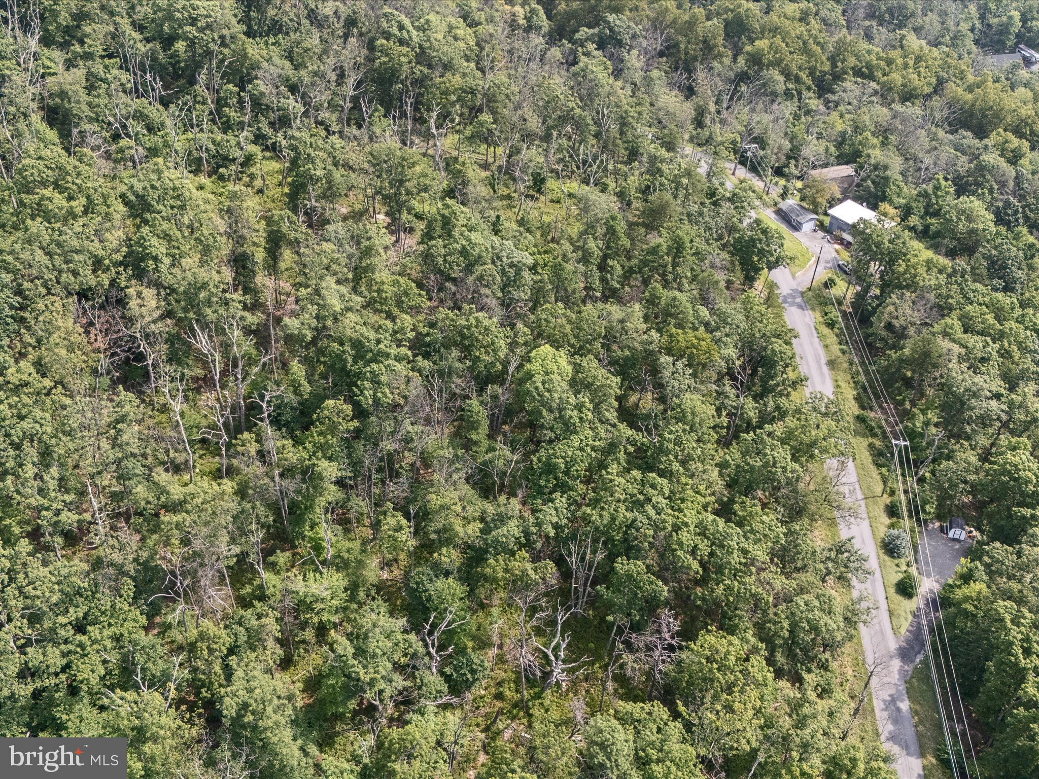 LOT 43 TOMAHAWK TRAIL