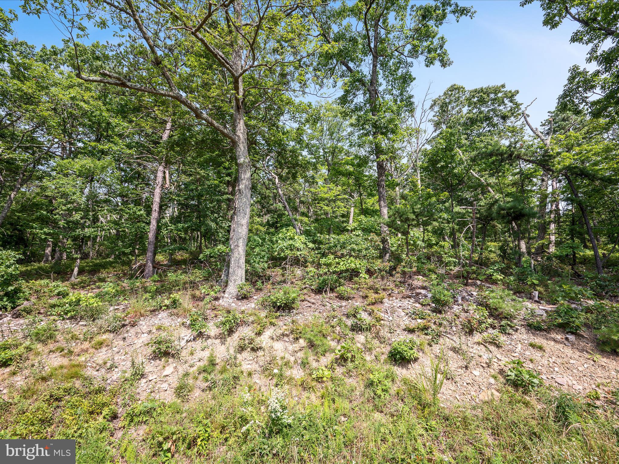 LOT 43 TOMAHAWK TRAIL