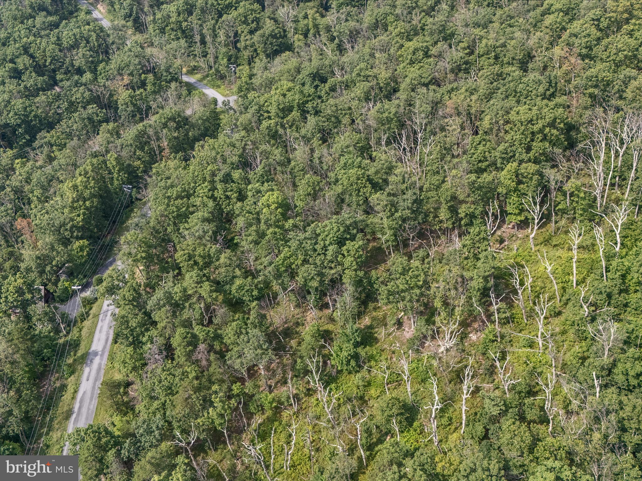 LOT 43 TOMAHAWK TRAIL