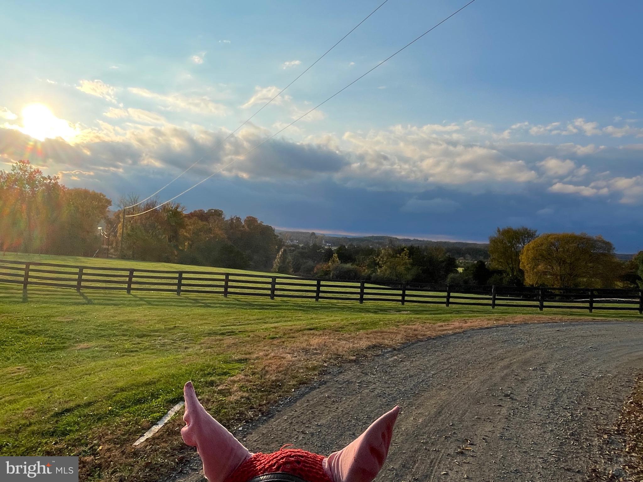 41419 SOUTHPAW PLACE