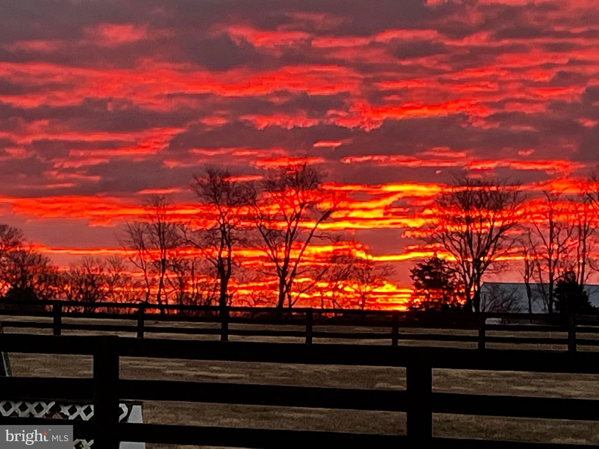 41419 SOUTHPAW PLACE