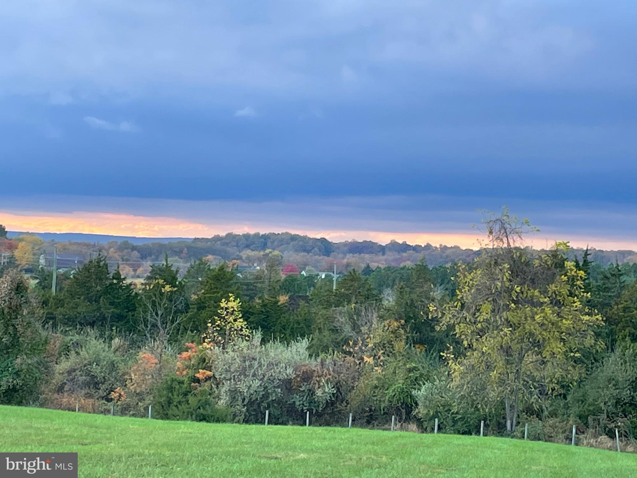 41419 SOUTHPAW PLACE