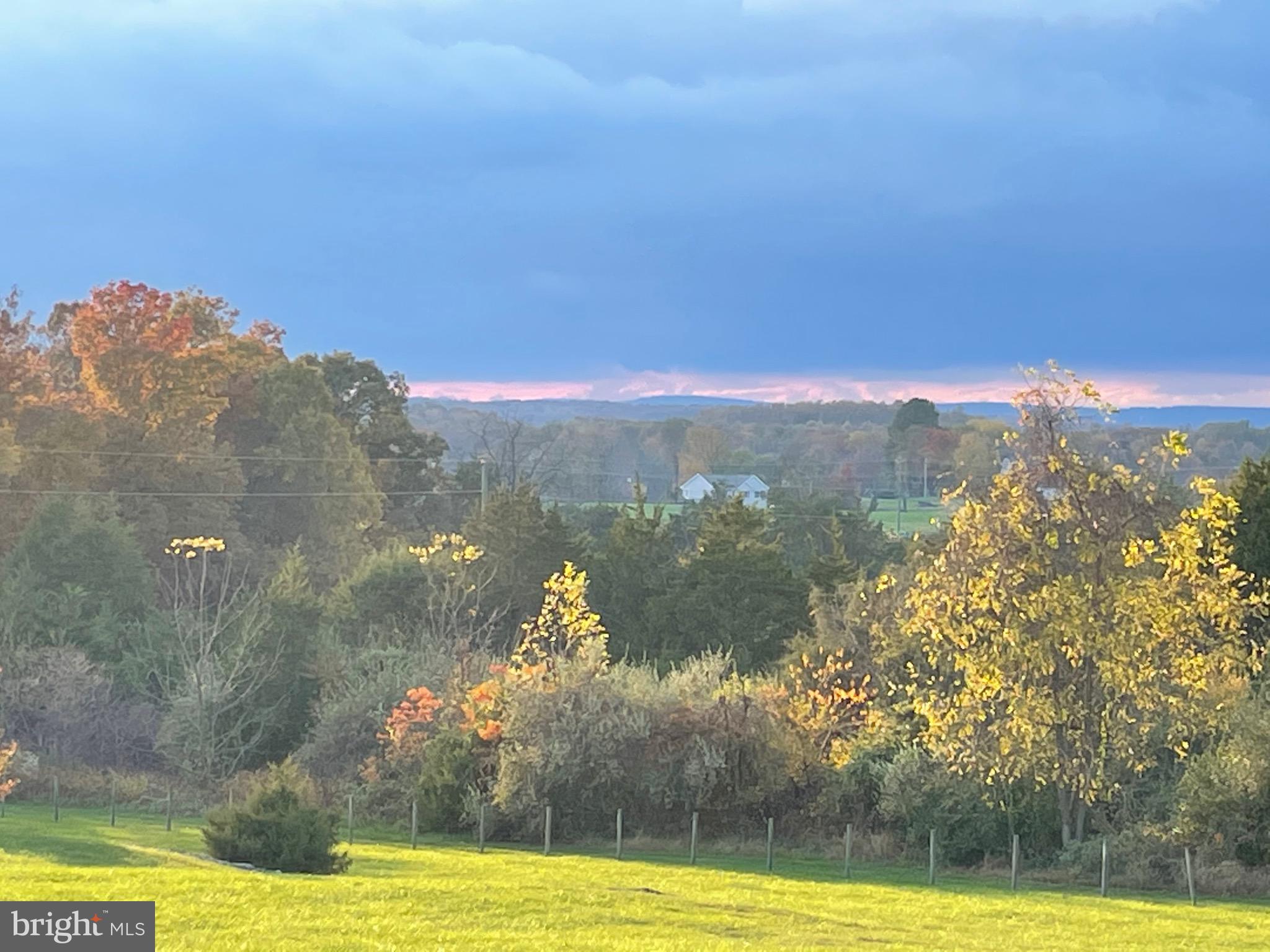 41419 SOUTHPAW PLACE