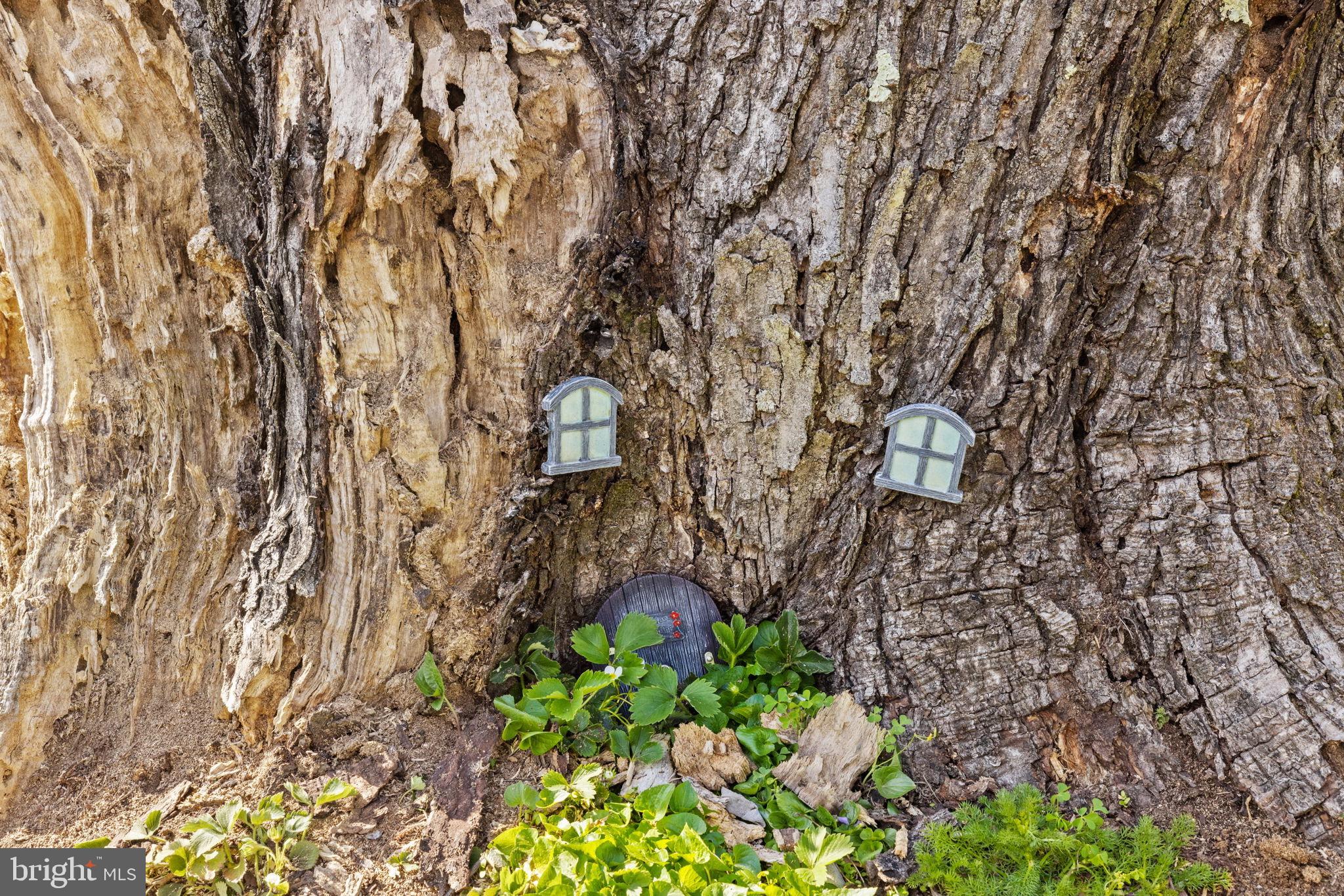 117 S SAINT PAUL STREET