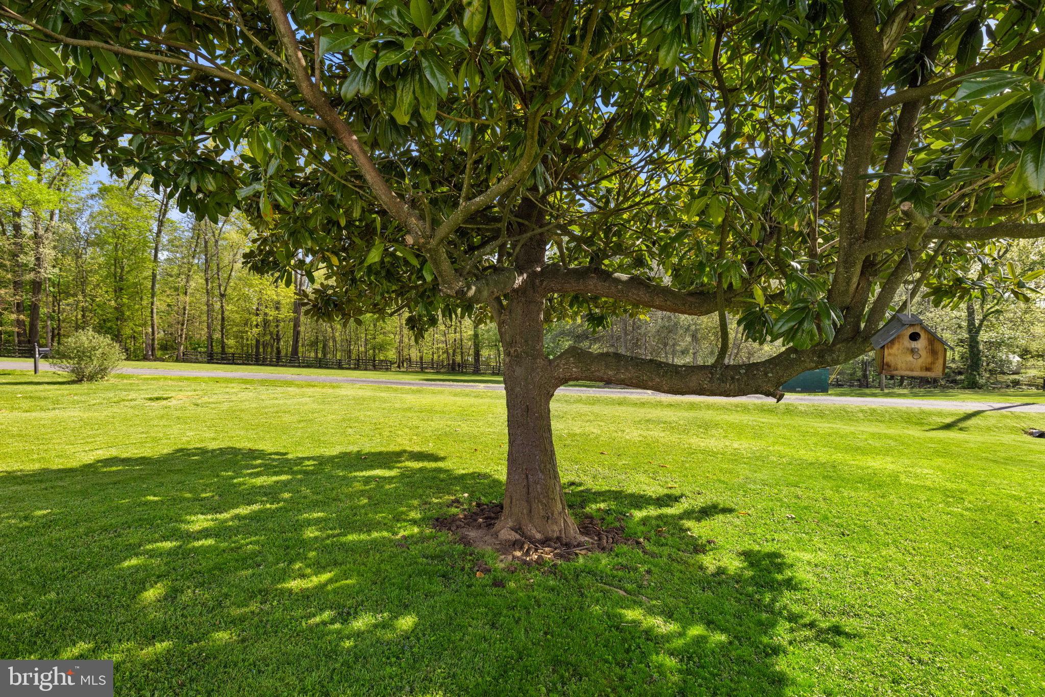 117 S SAINT PAUL STREET