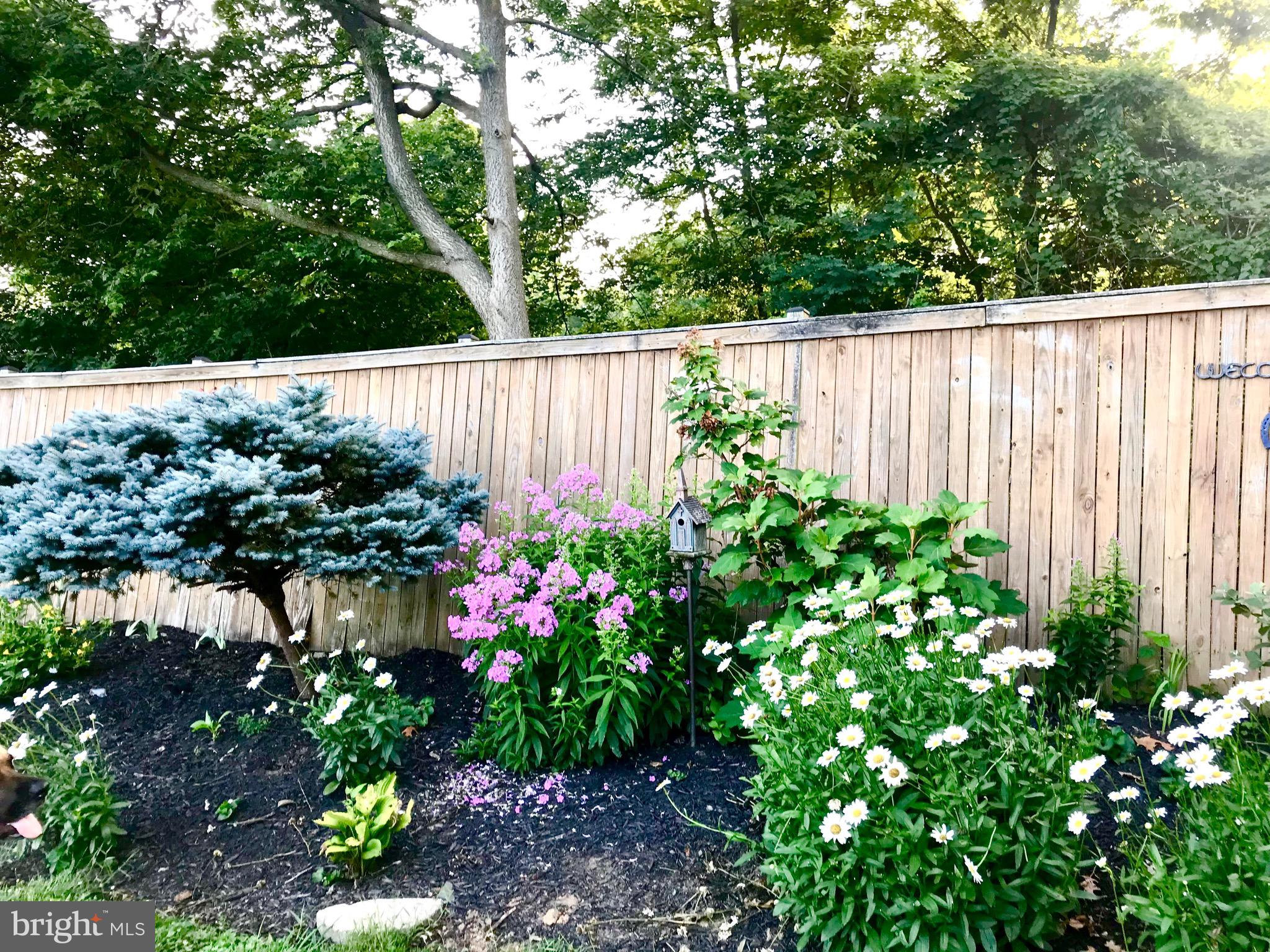 117 S SAINT PAUL STREET