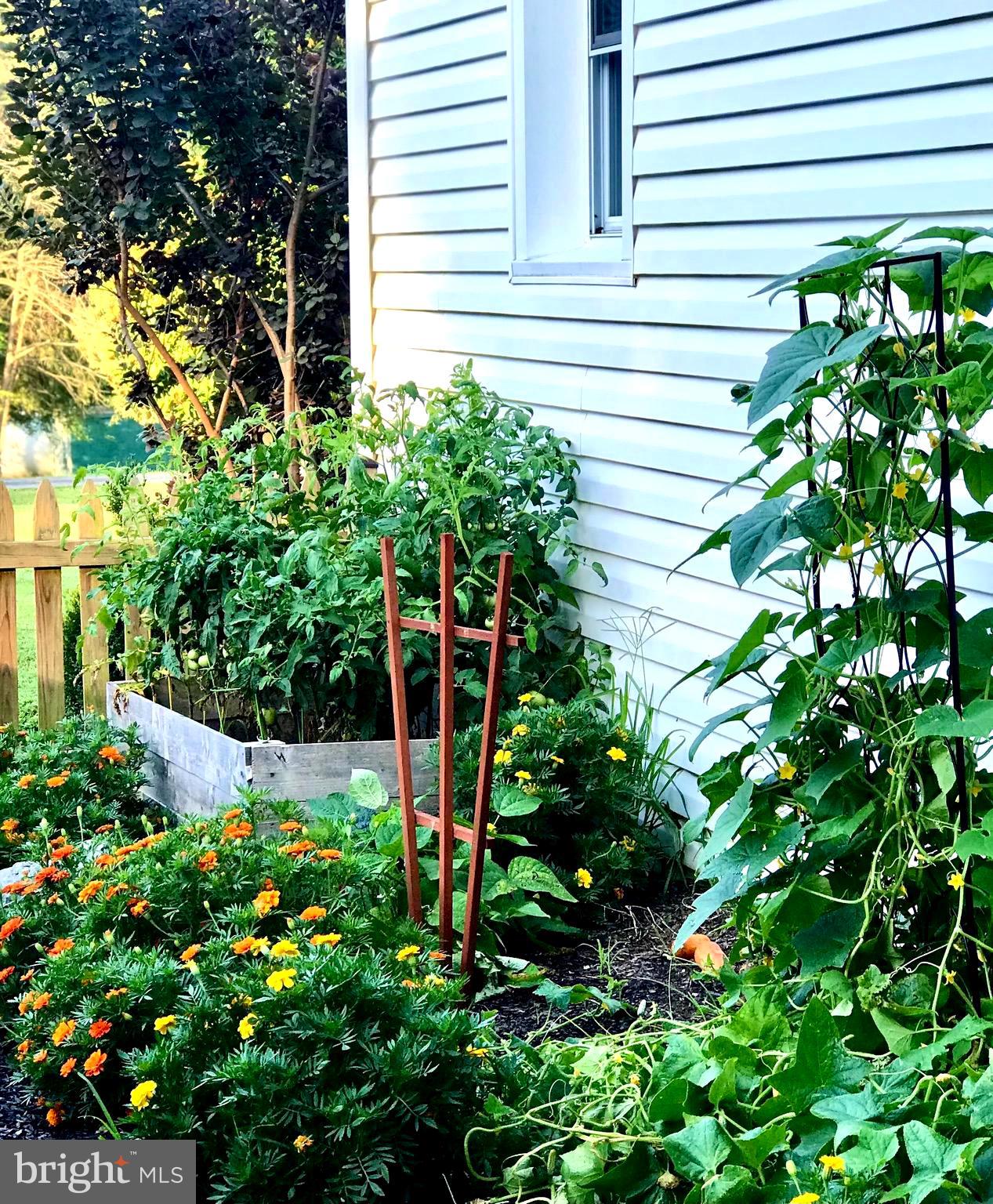 117 S SAINT PAUL STREET