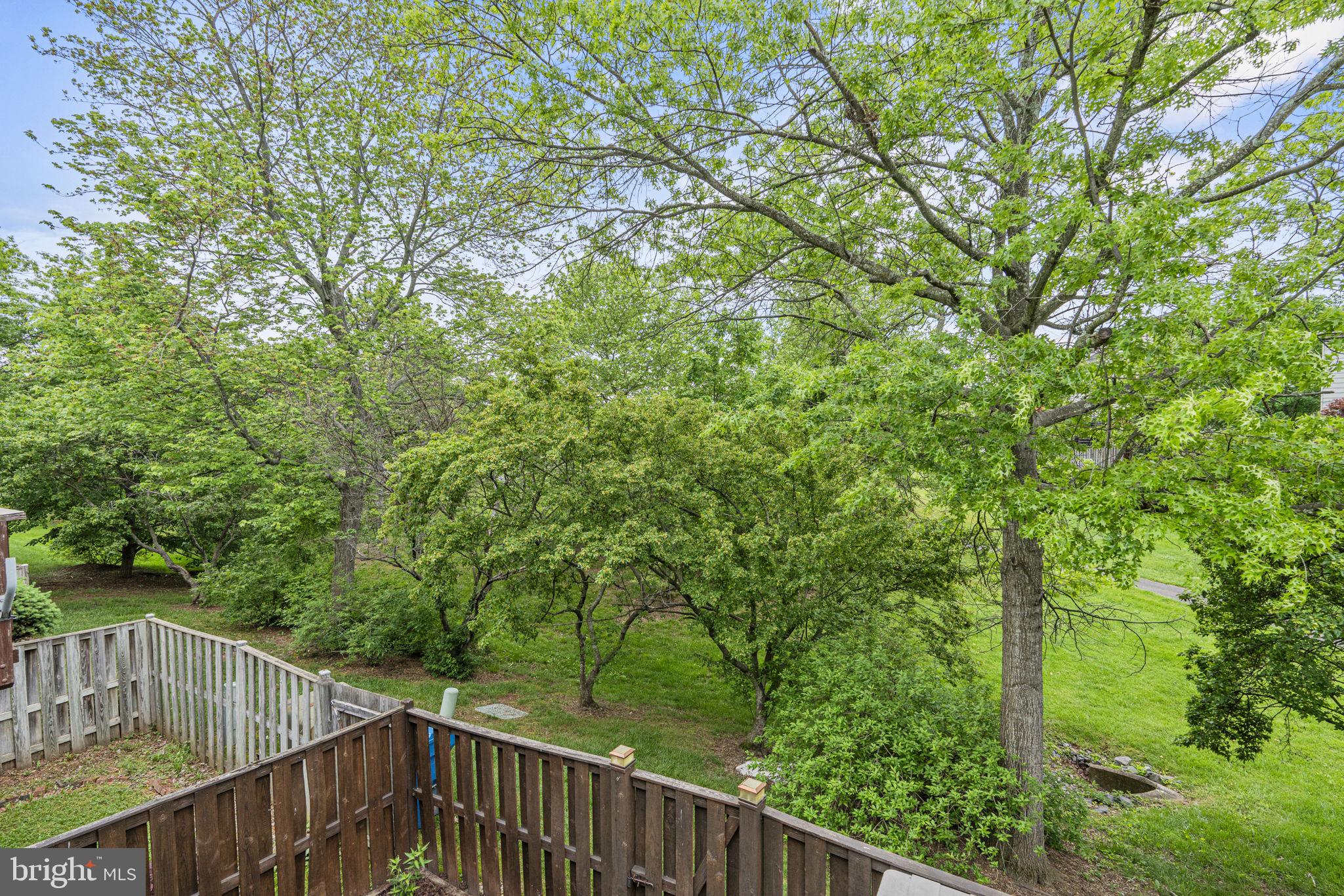 21024 LEMON SPRINGS TERRACE
