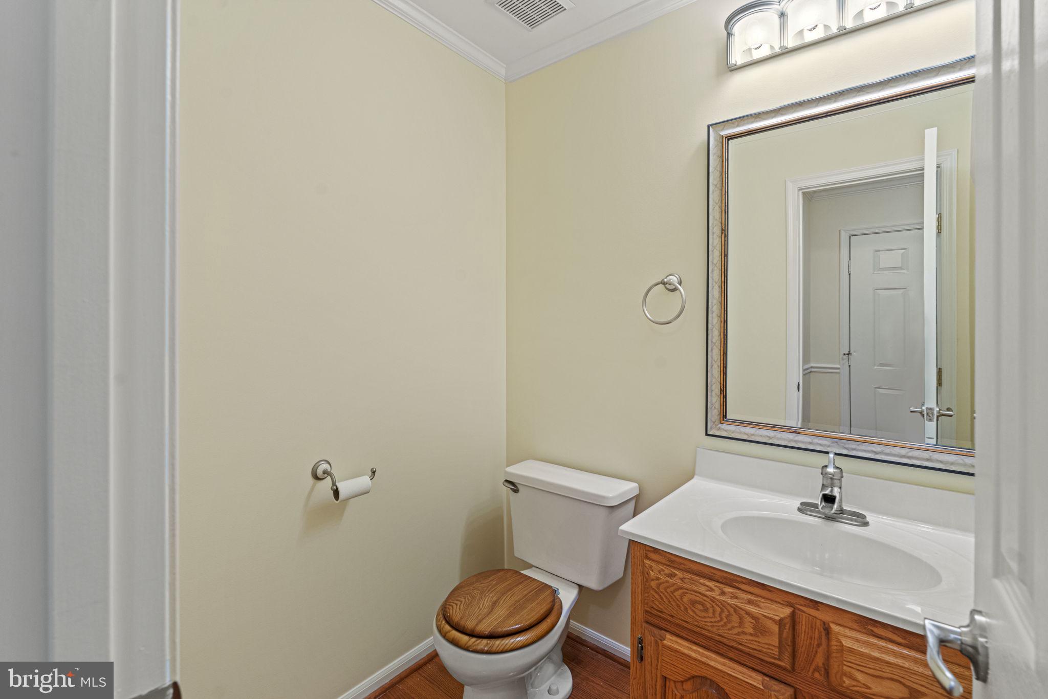 21024 LEMON SPRINGS TERRACE