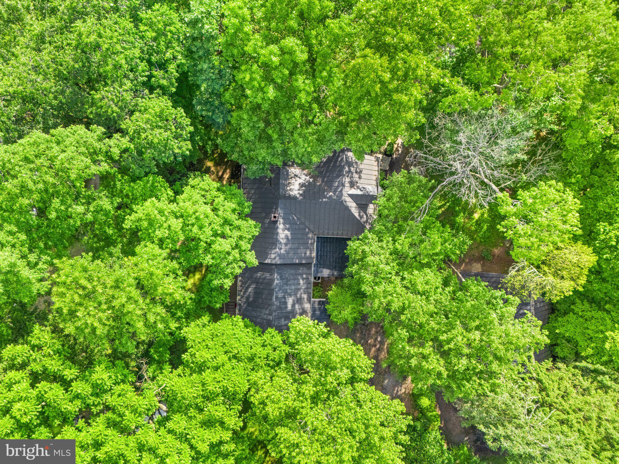 18100 & 18096 LINCOLN ROAD