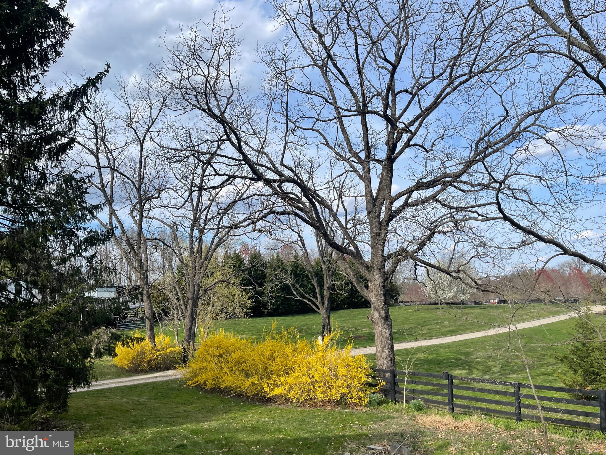 18100 & 18096 LINCOLN ROAD