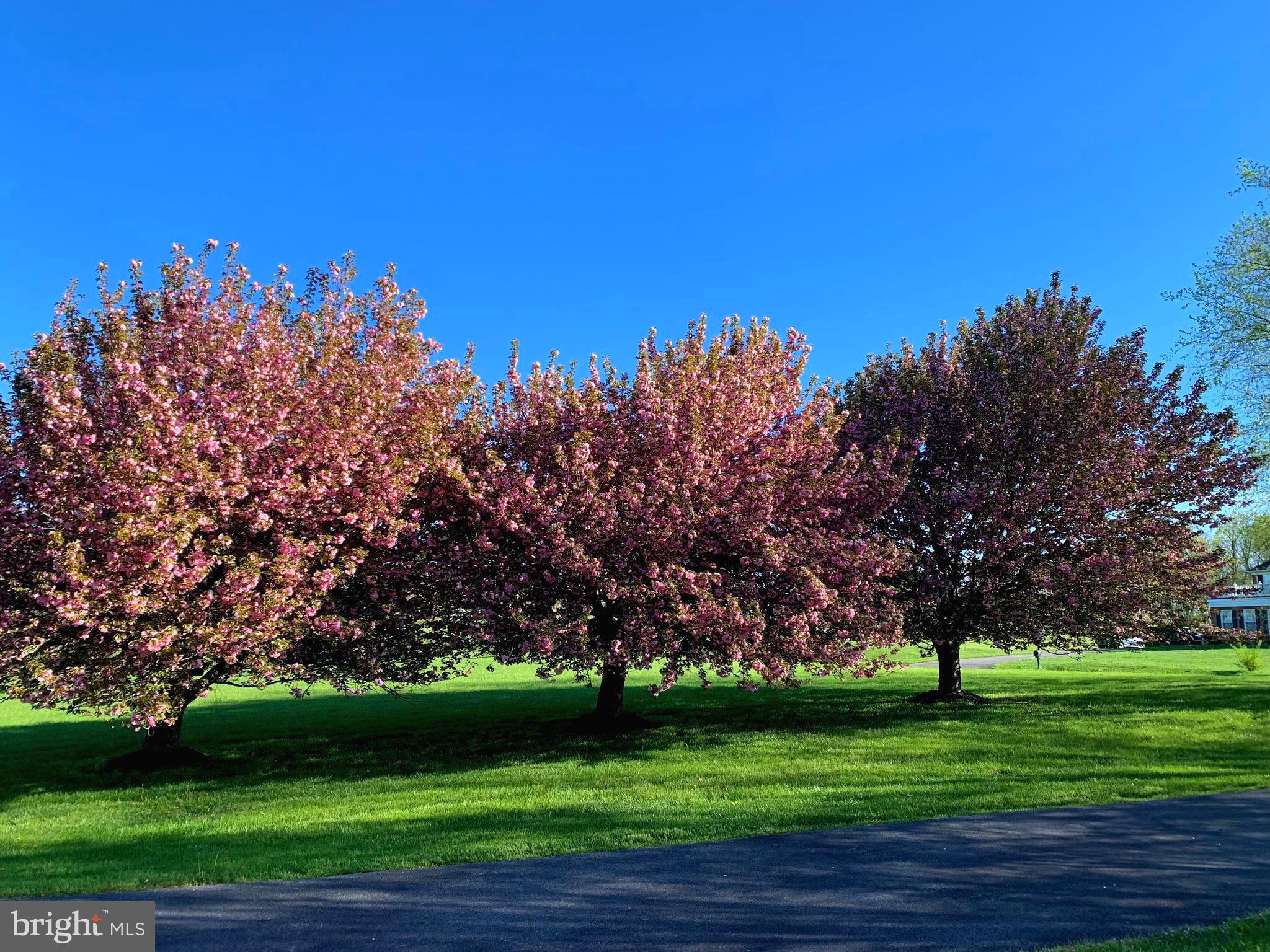 39054 OLD STAGE PLACE