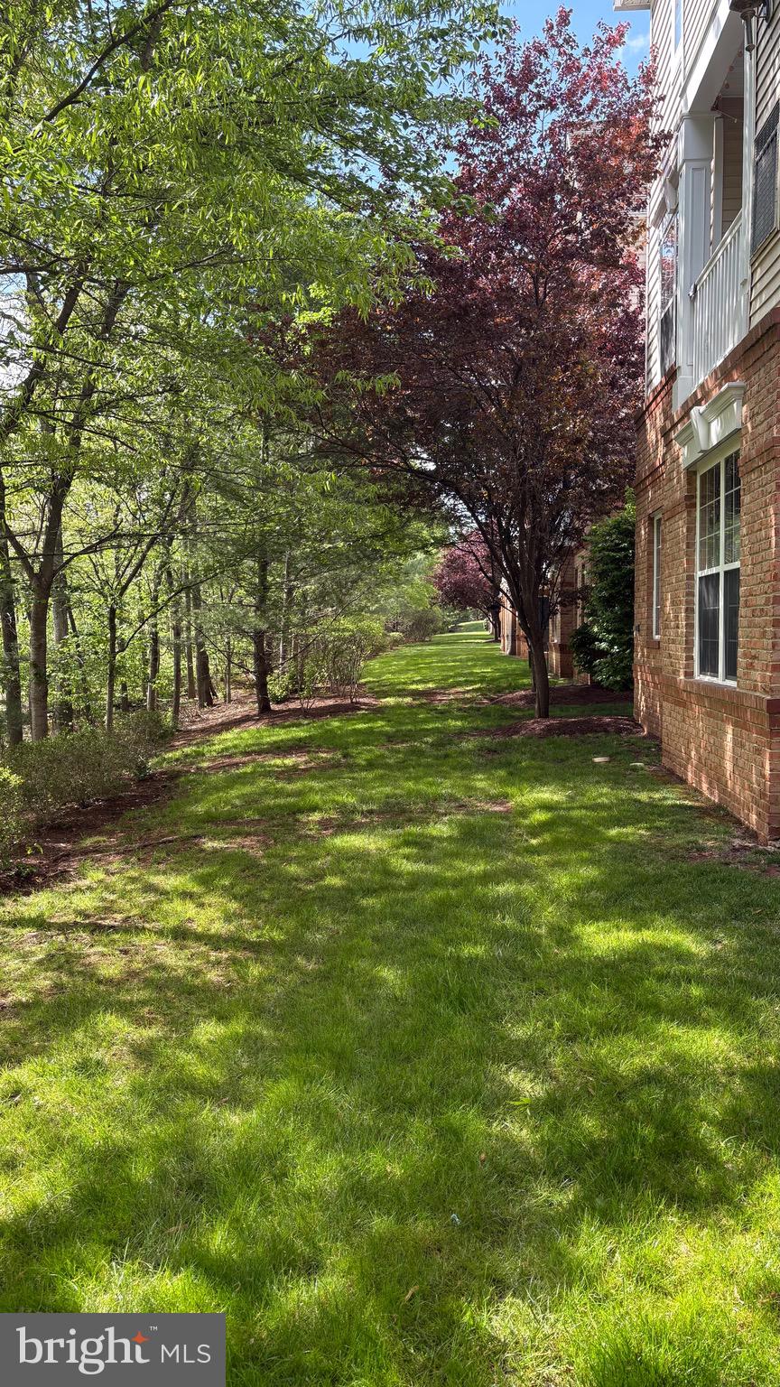 20385 BELMONT PARK TERRACE 117